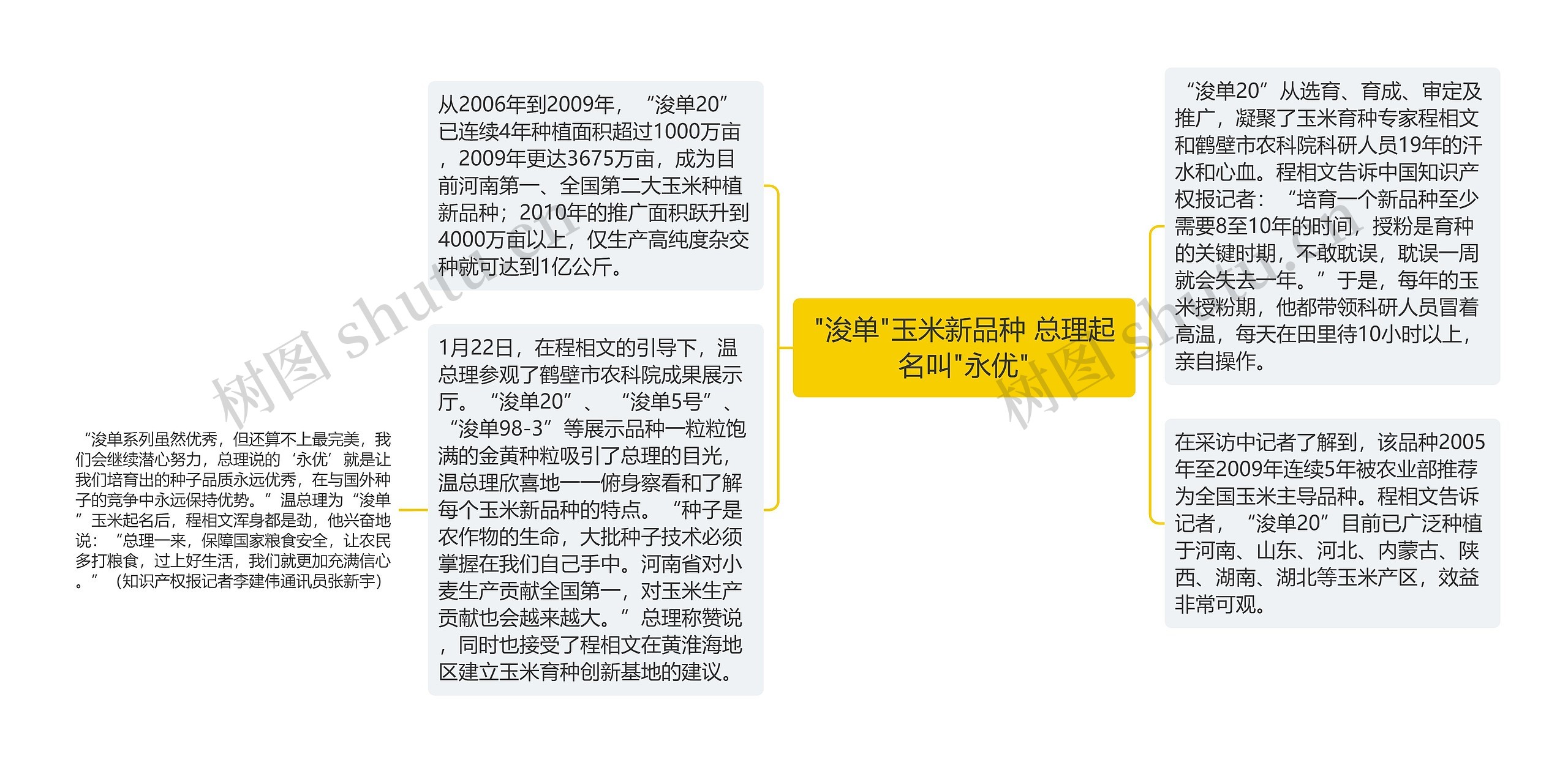 "浚单"玉米新品种 总理起名叫"永优" "浚单"玉米新品种 总理起名叫"永优"