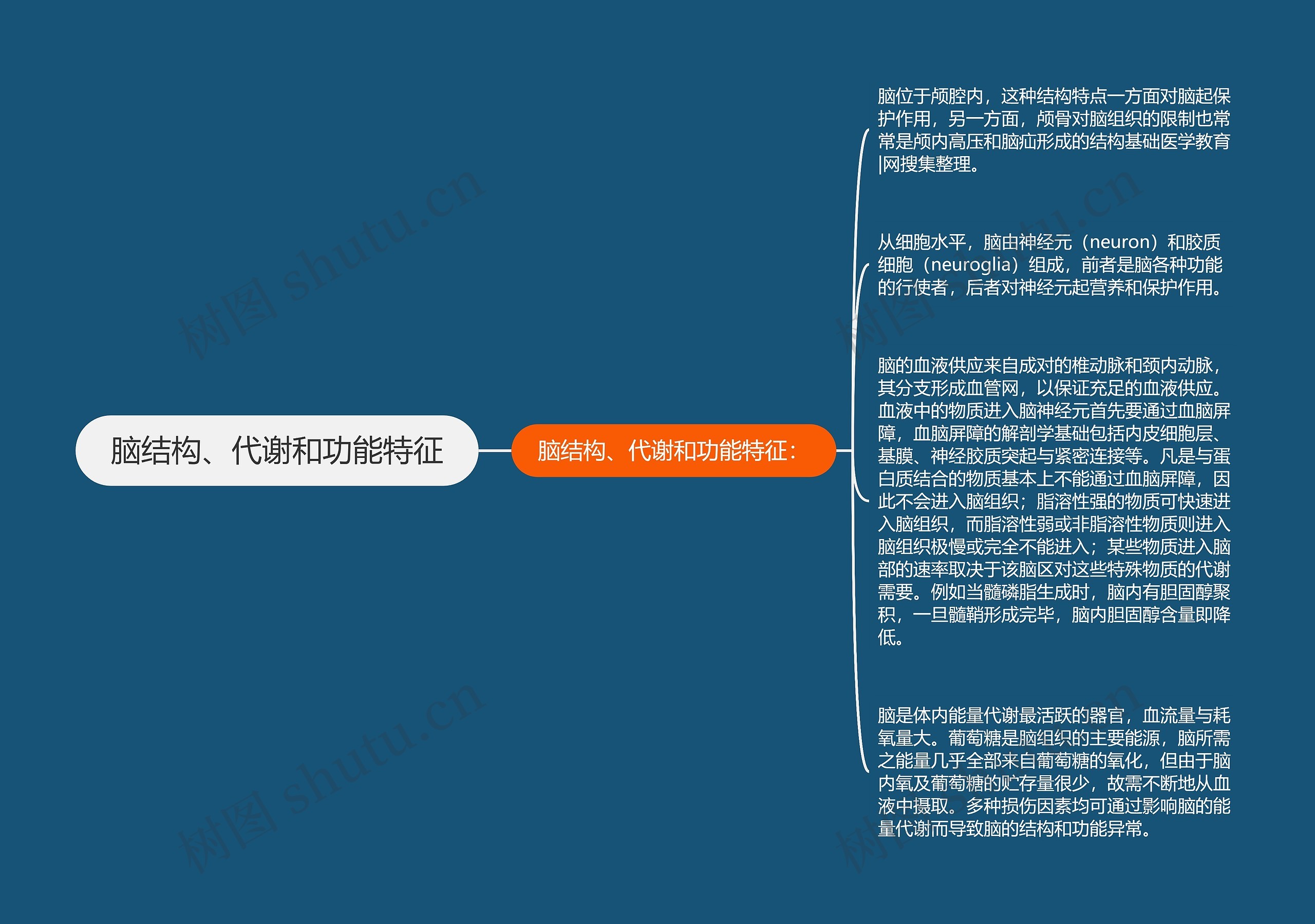 脑结构、代谢和功能特征