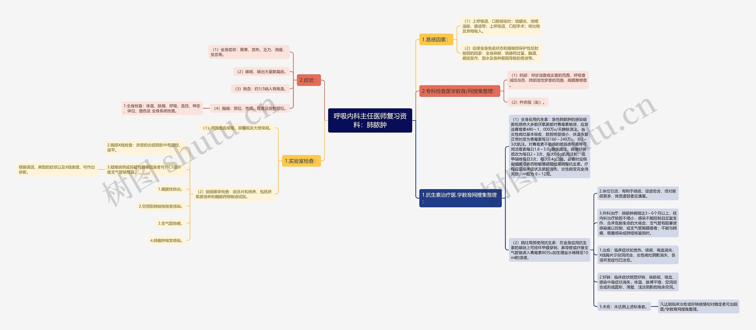 呼吸内科主任医师复习资料：肺脓肿思维导图