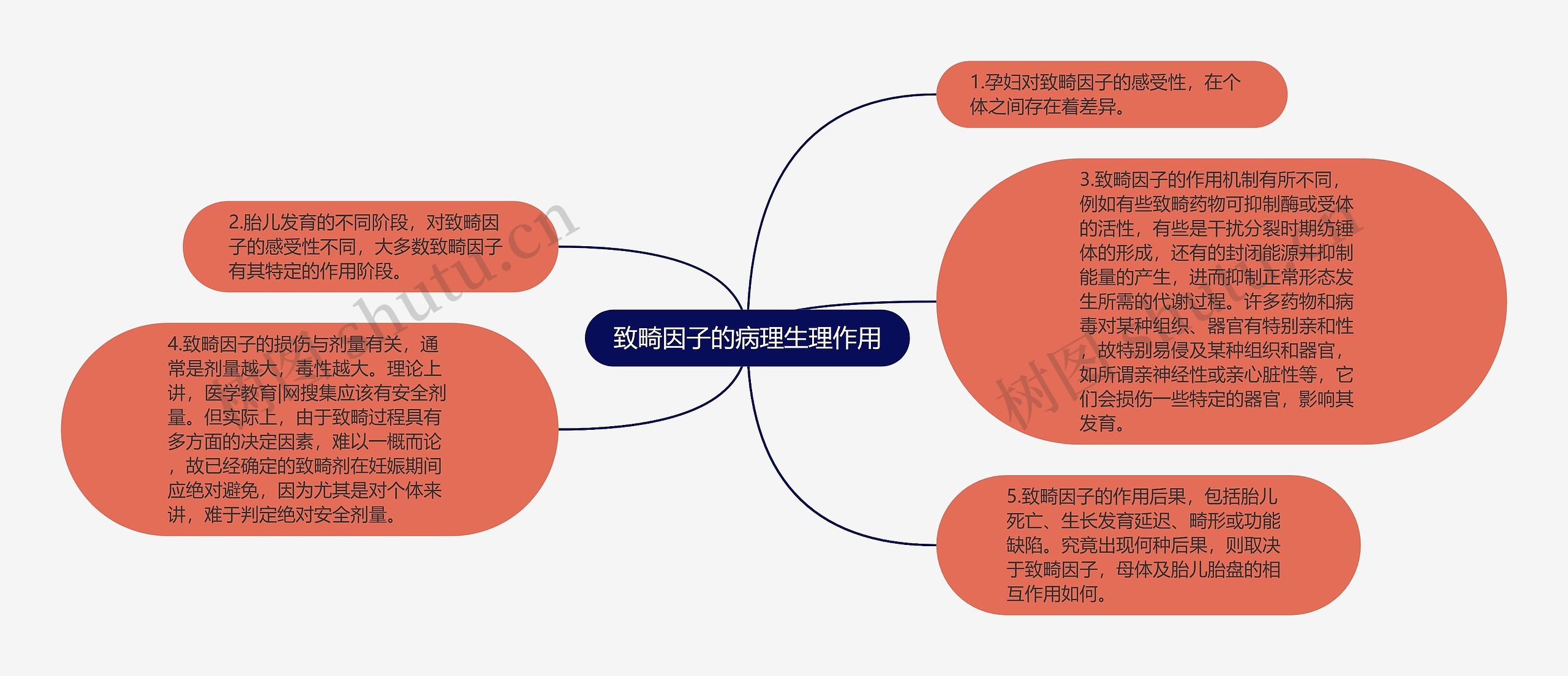 致畸因子的病理生理作用