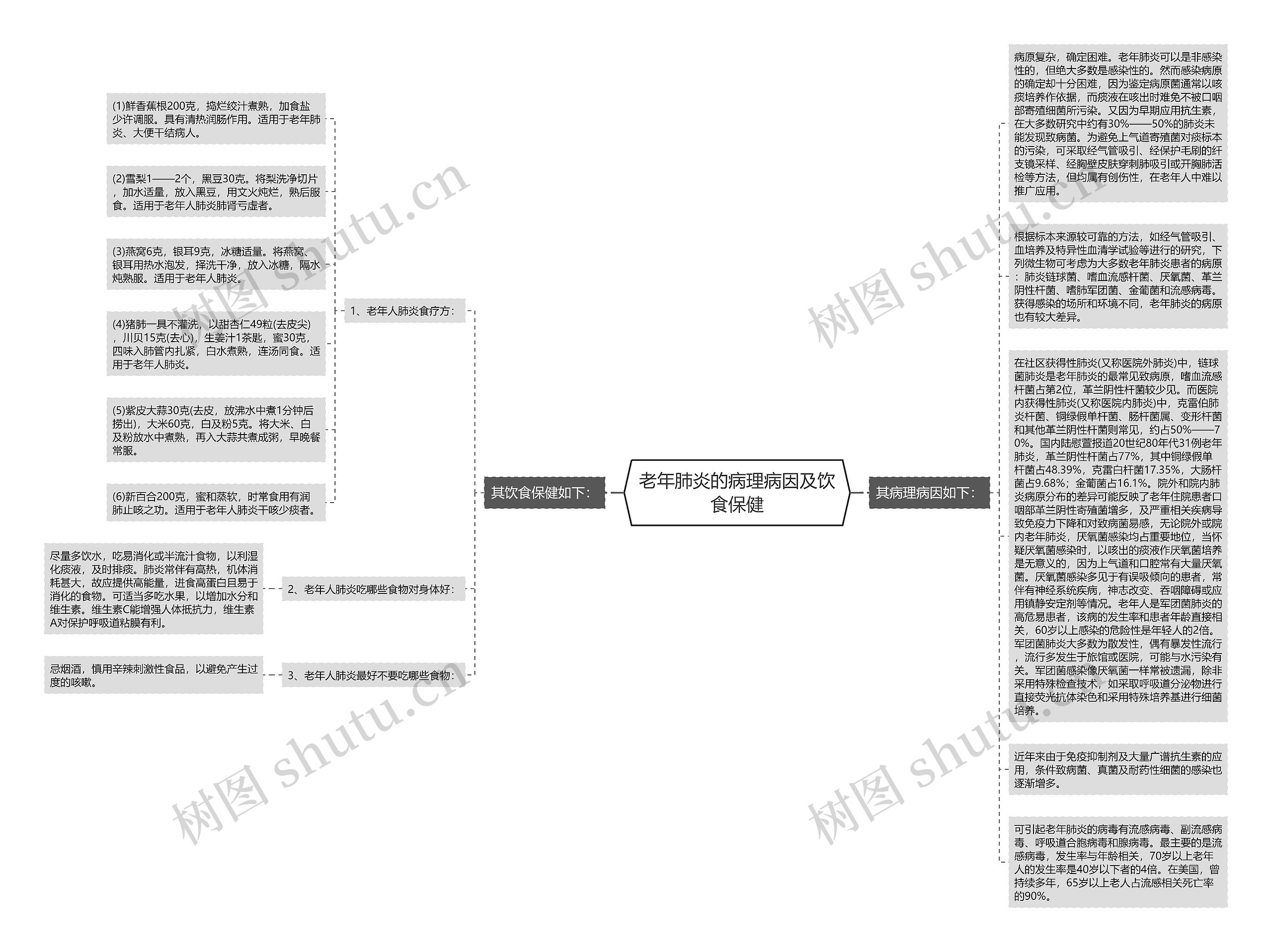 老年肺炎的病理病因及饮食保健思维导图