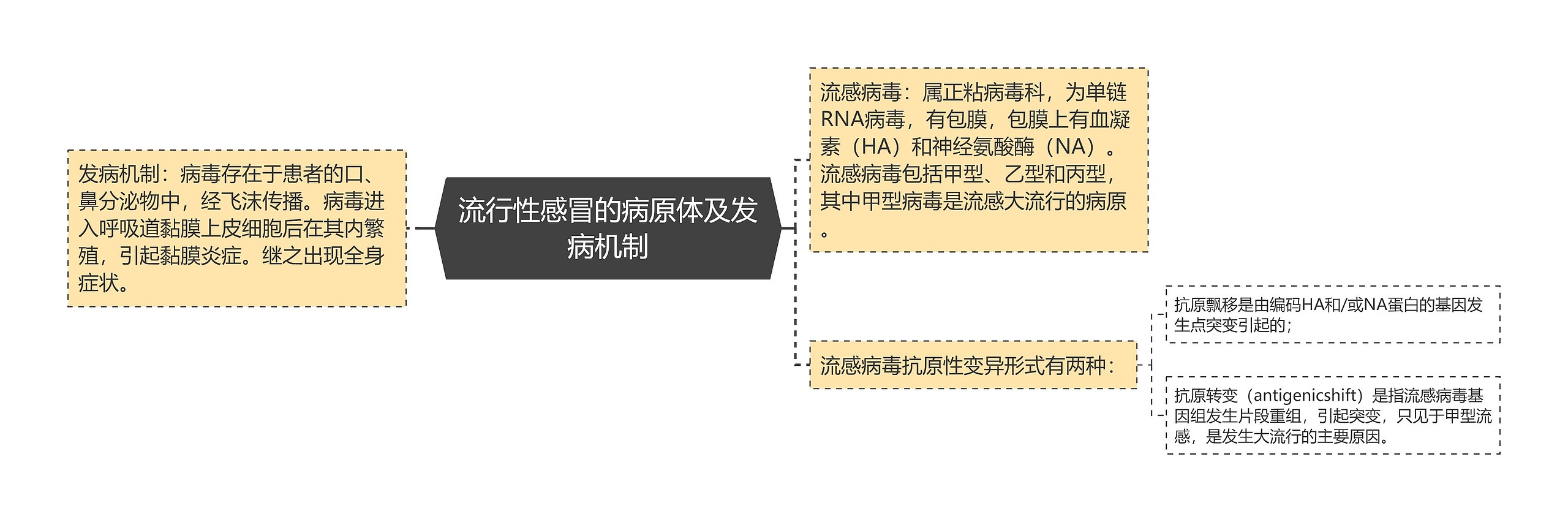 流行性感冒的病原体及发病机制思维导图