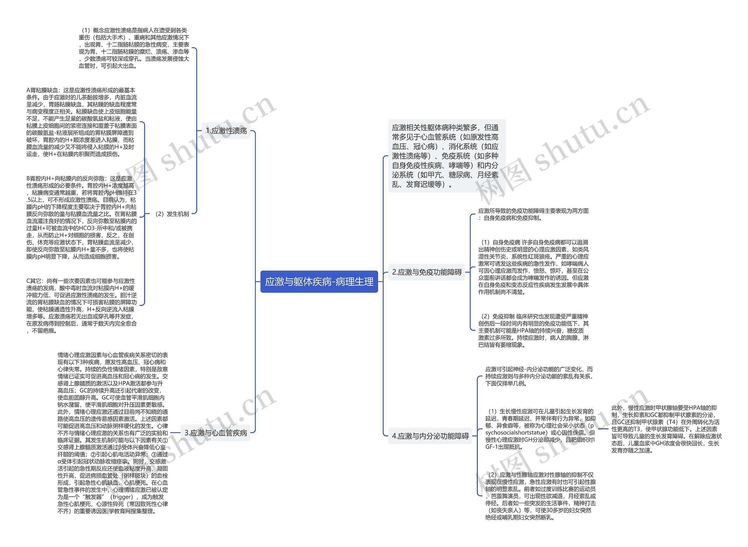 应激与躯体疾病-病理生理思维导图