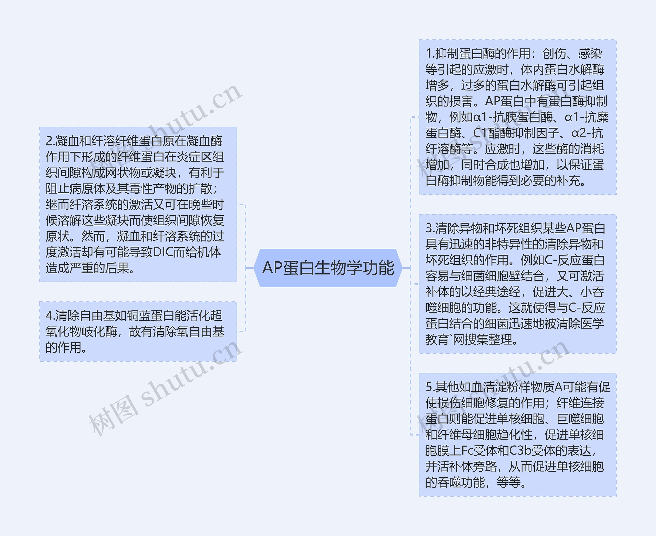 AP蛋白生物学功能