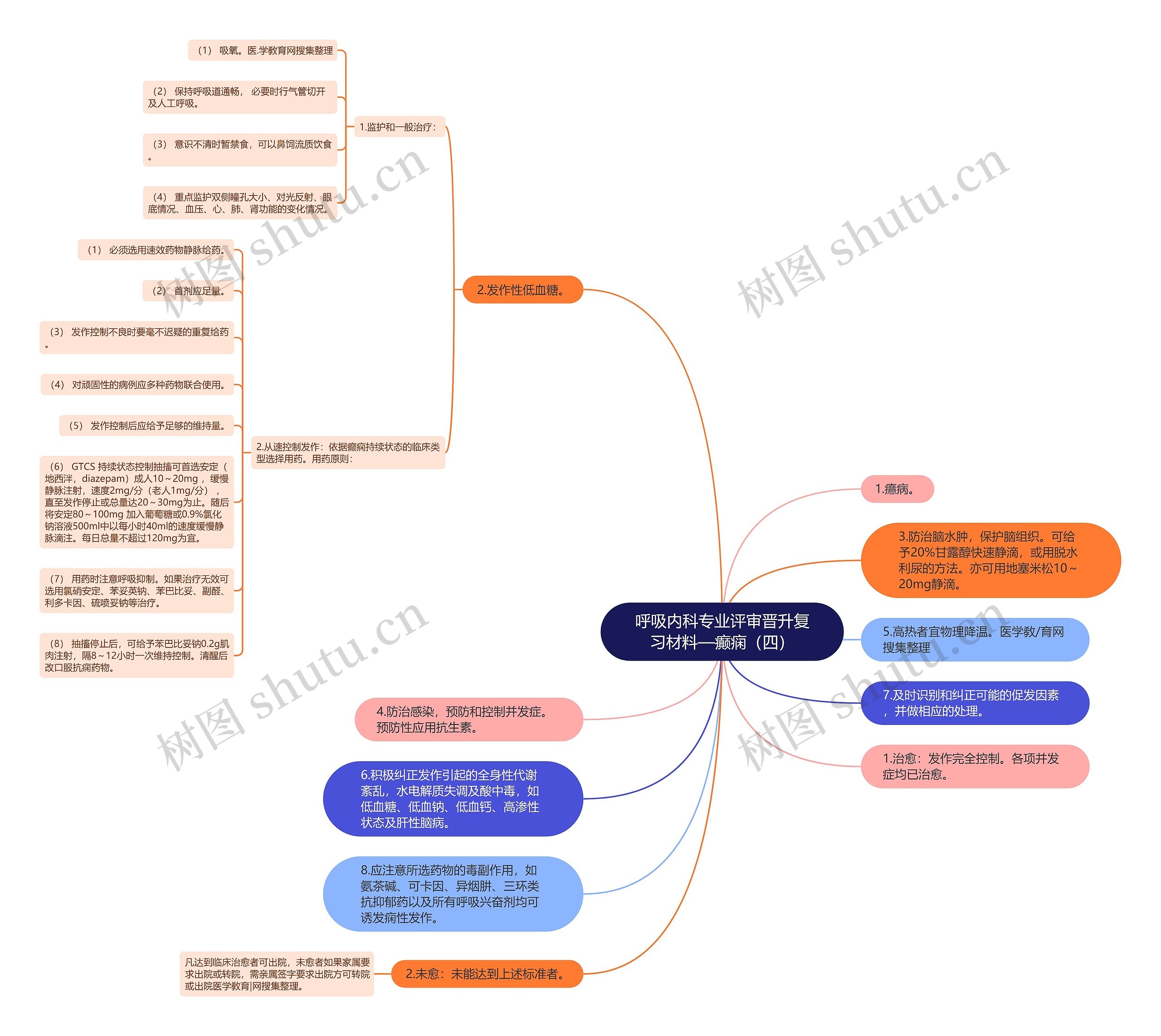 呼吸内科专业评审晋升复习材料—癫痫（四）思维导图