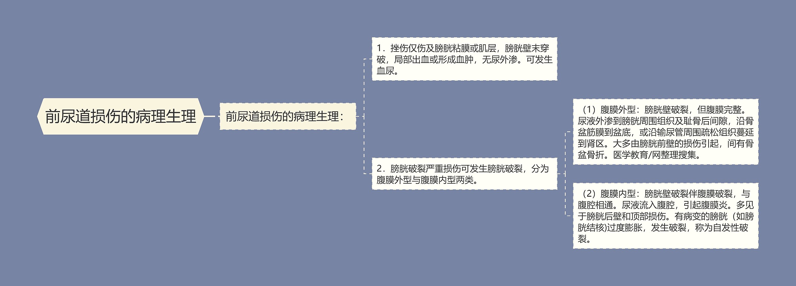 前尿道损伤的病理生理思维导图