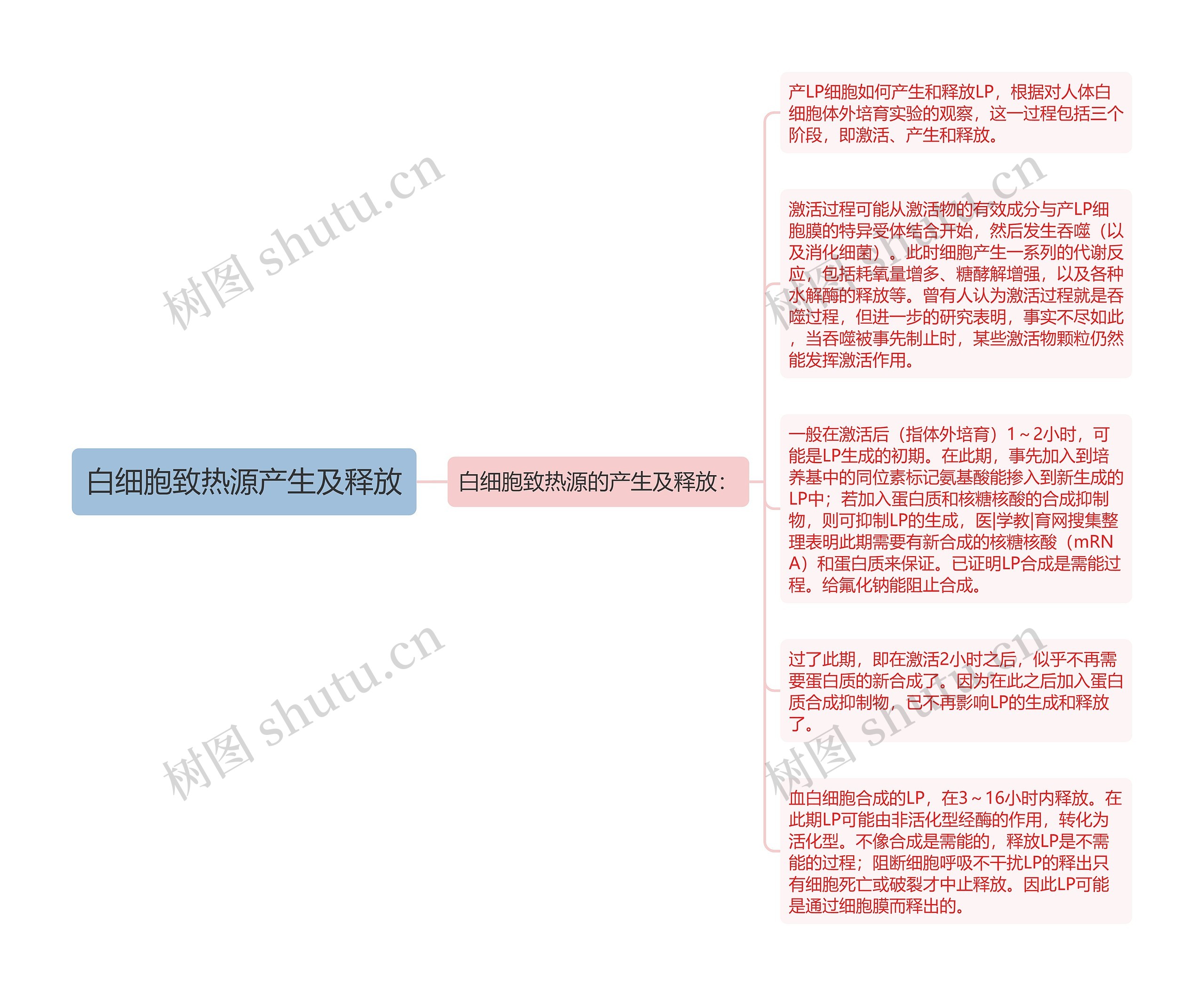 白细胞致热源产生及释放思维导图