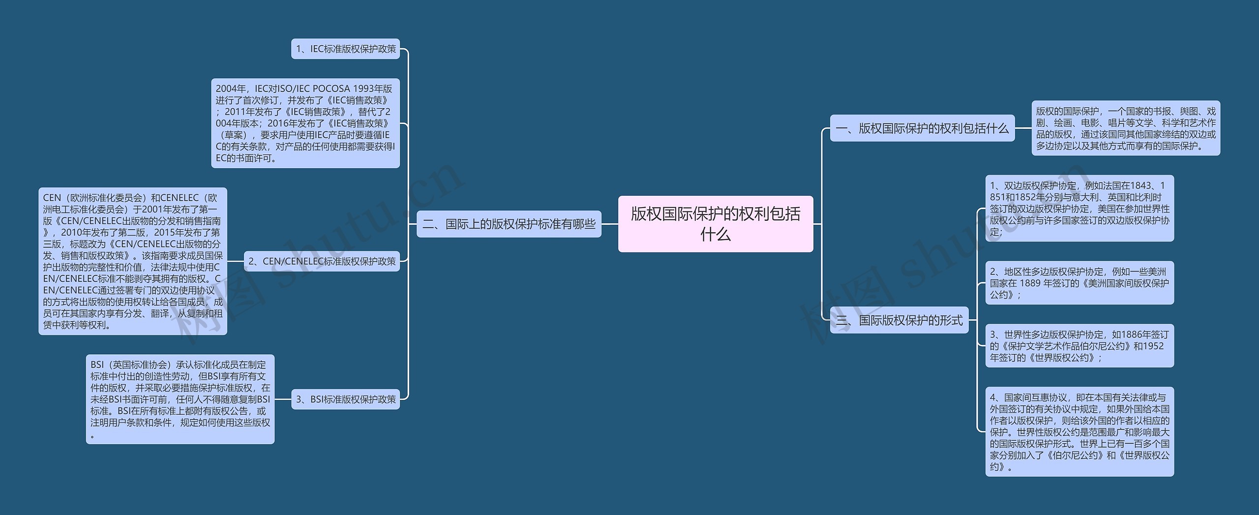 版权国际保护的权利包括什么思维导图