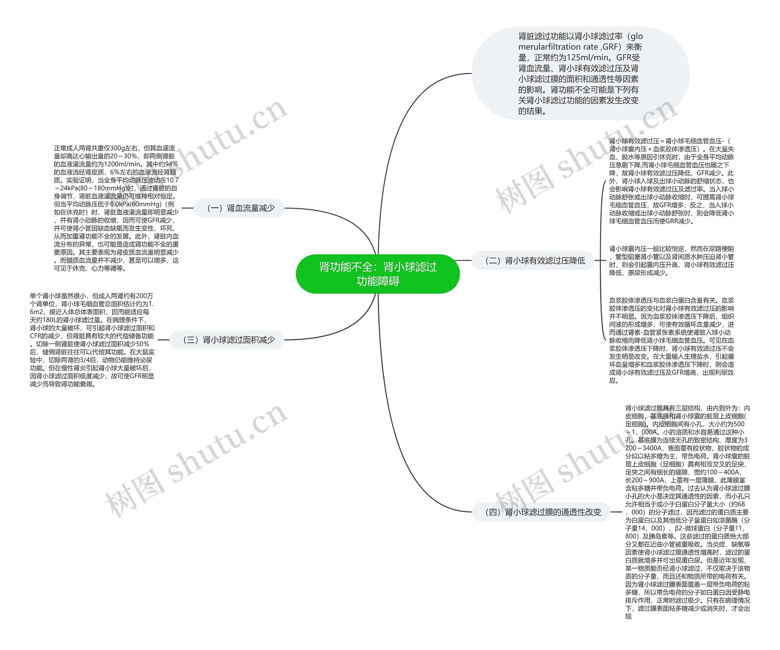 肾功能不全:肾小球滤过功能障碍 肾功能不全:肾小球滤过功能障碍