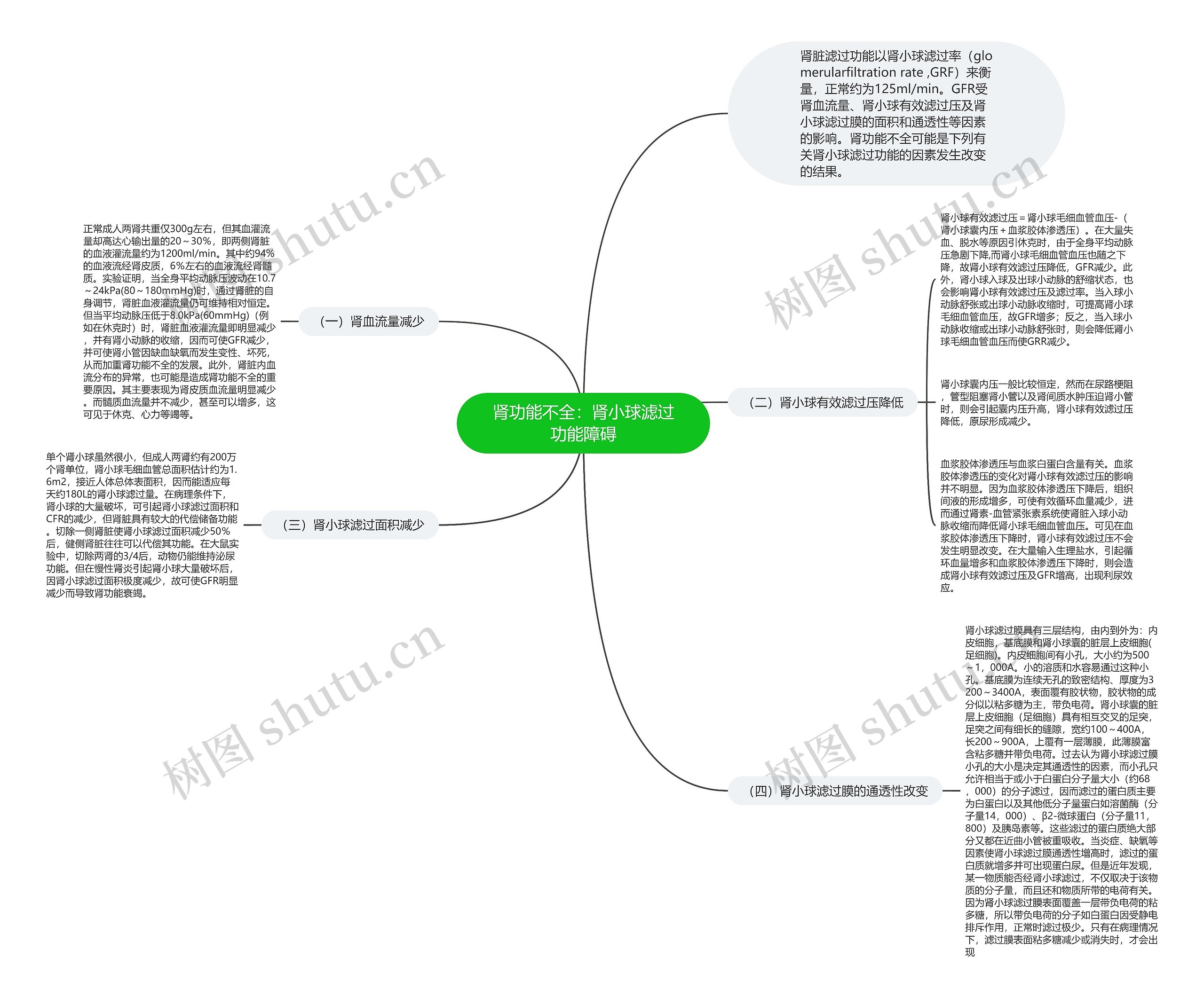 肾功能不全：肾小球滤过功能障碍思维导图