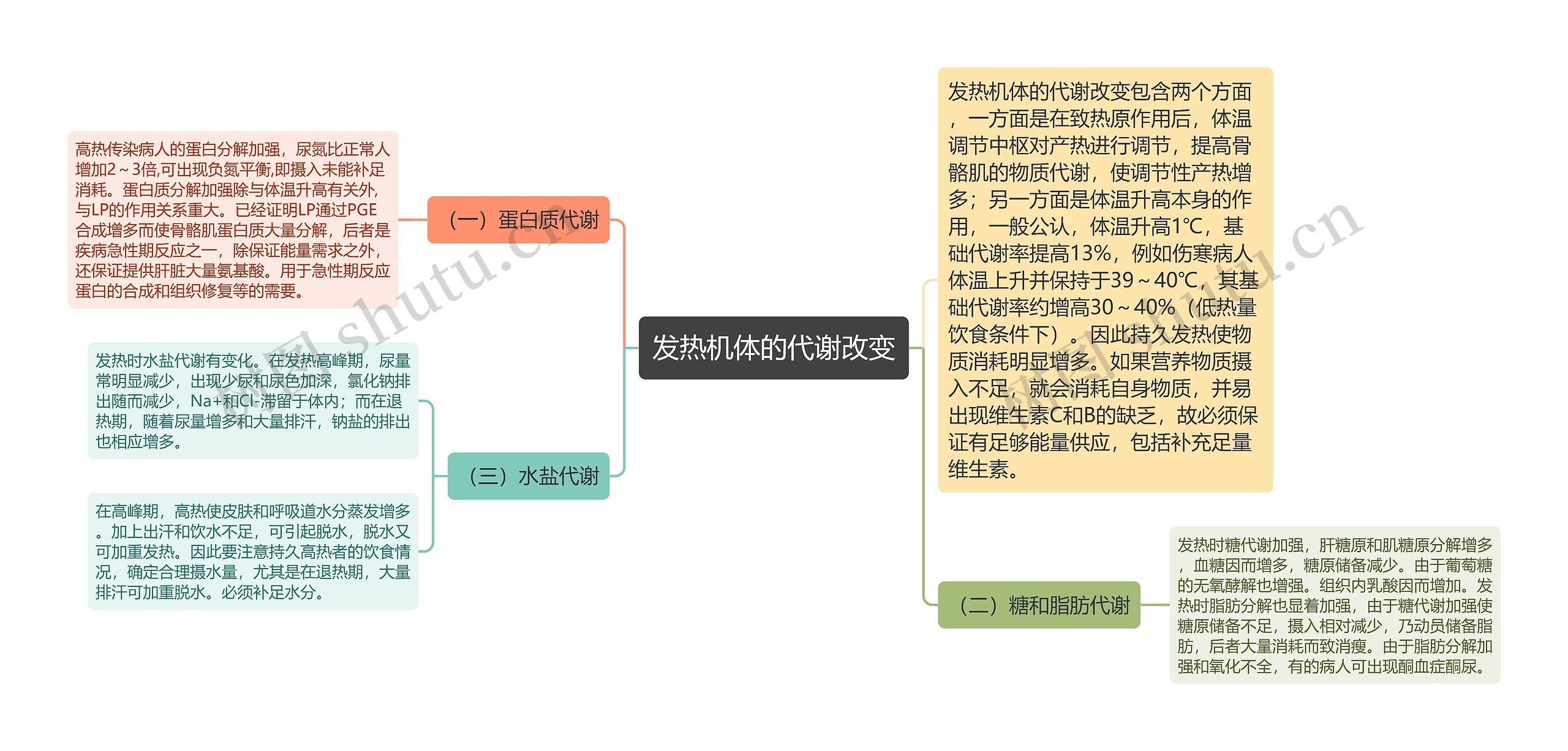 发热机体的代谢改变思维导图