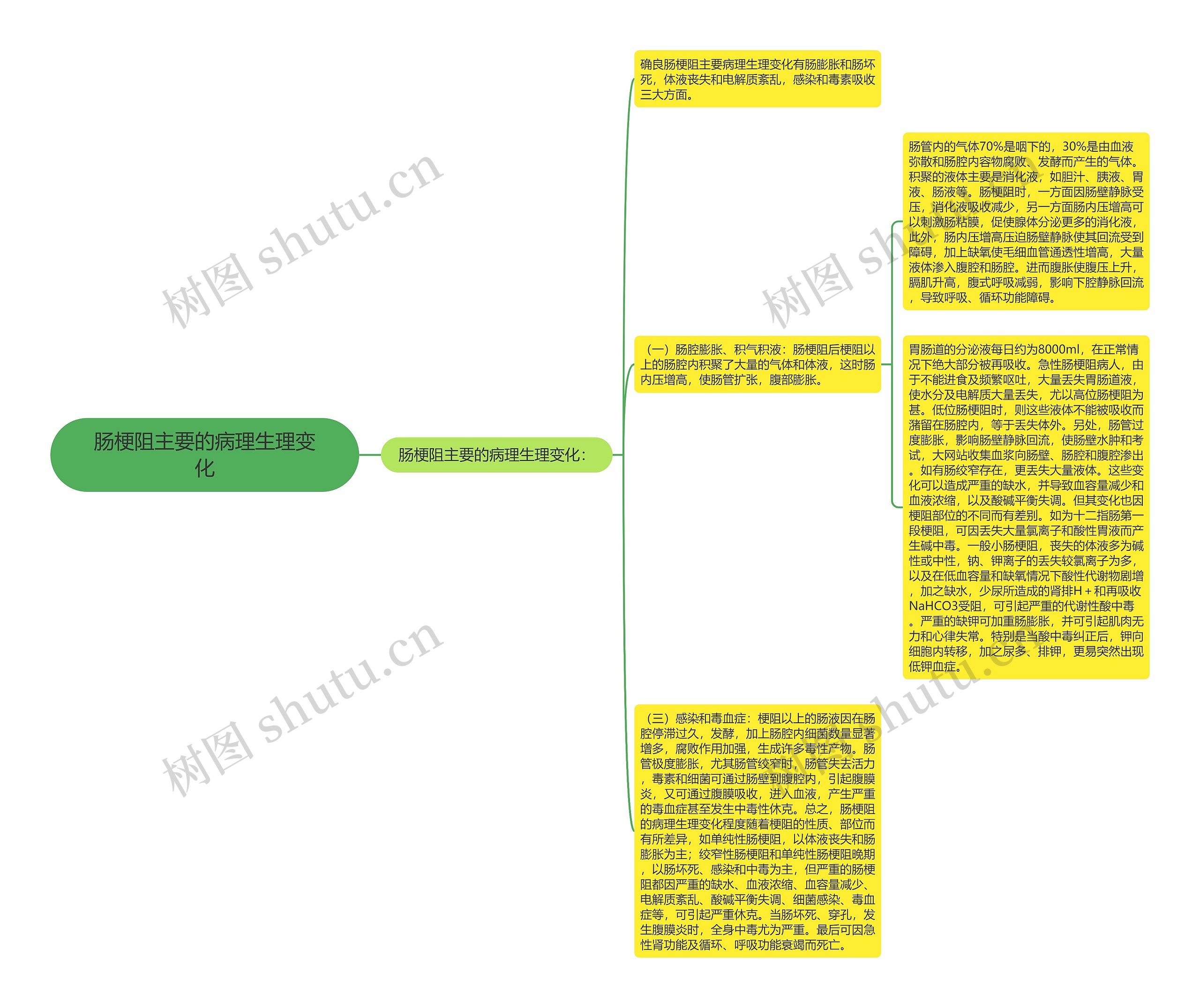 肠梗阻主要的病理生理变化思维导图