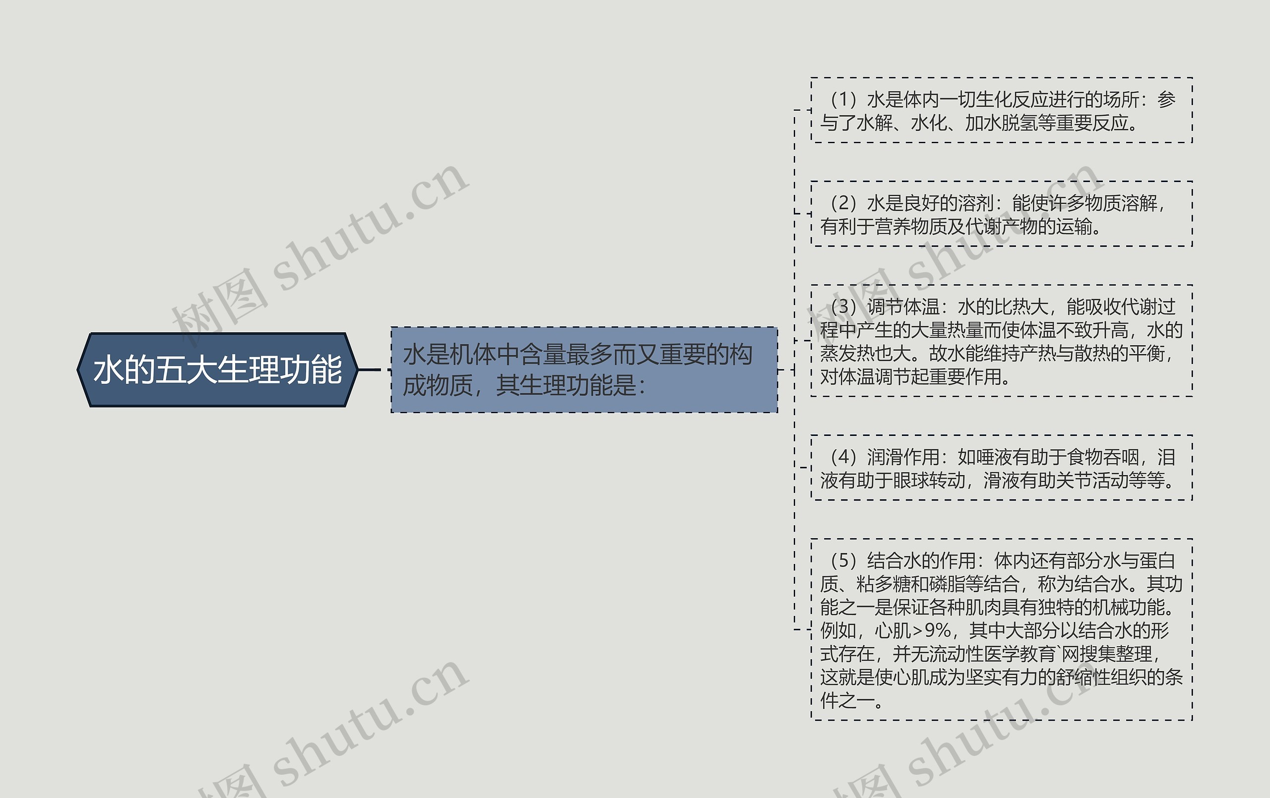 水的五大生理功能