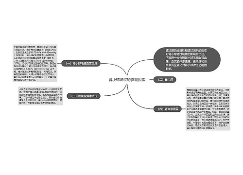 肾小球滤过的影响因素