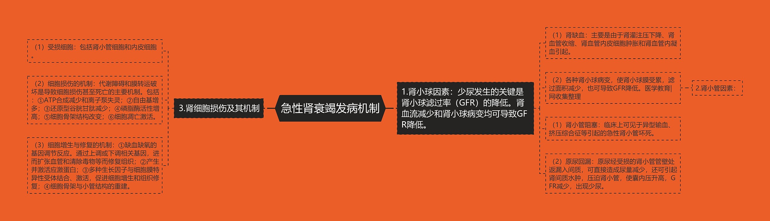 急性肾衰竭发病机制 急性肾衰竭发病机制