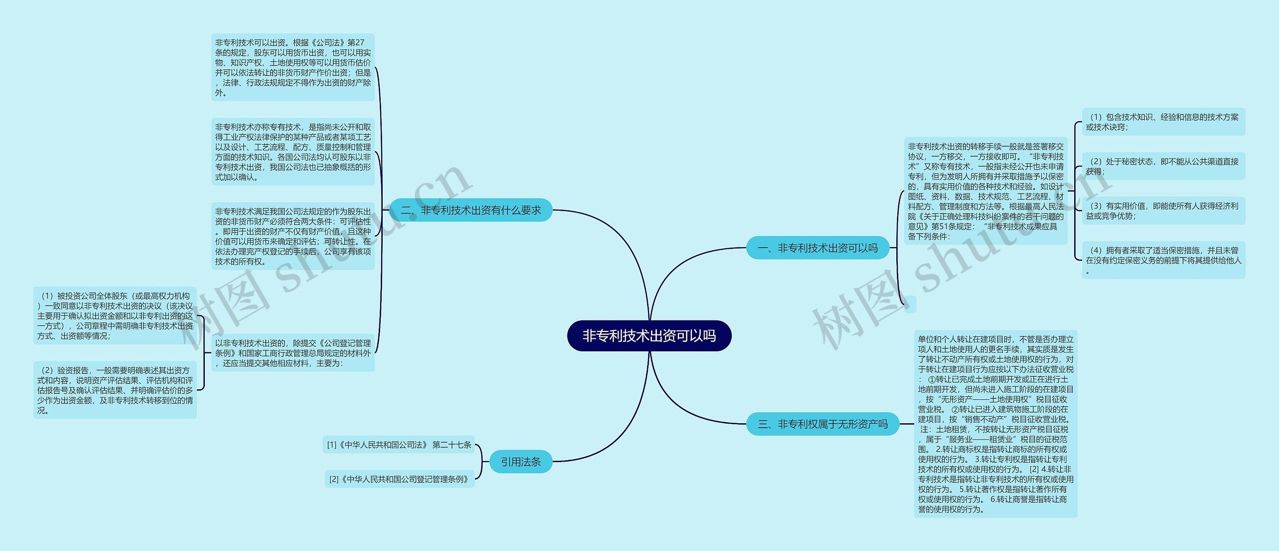 非专利技术出资可以吗思维导图