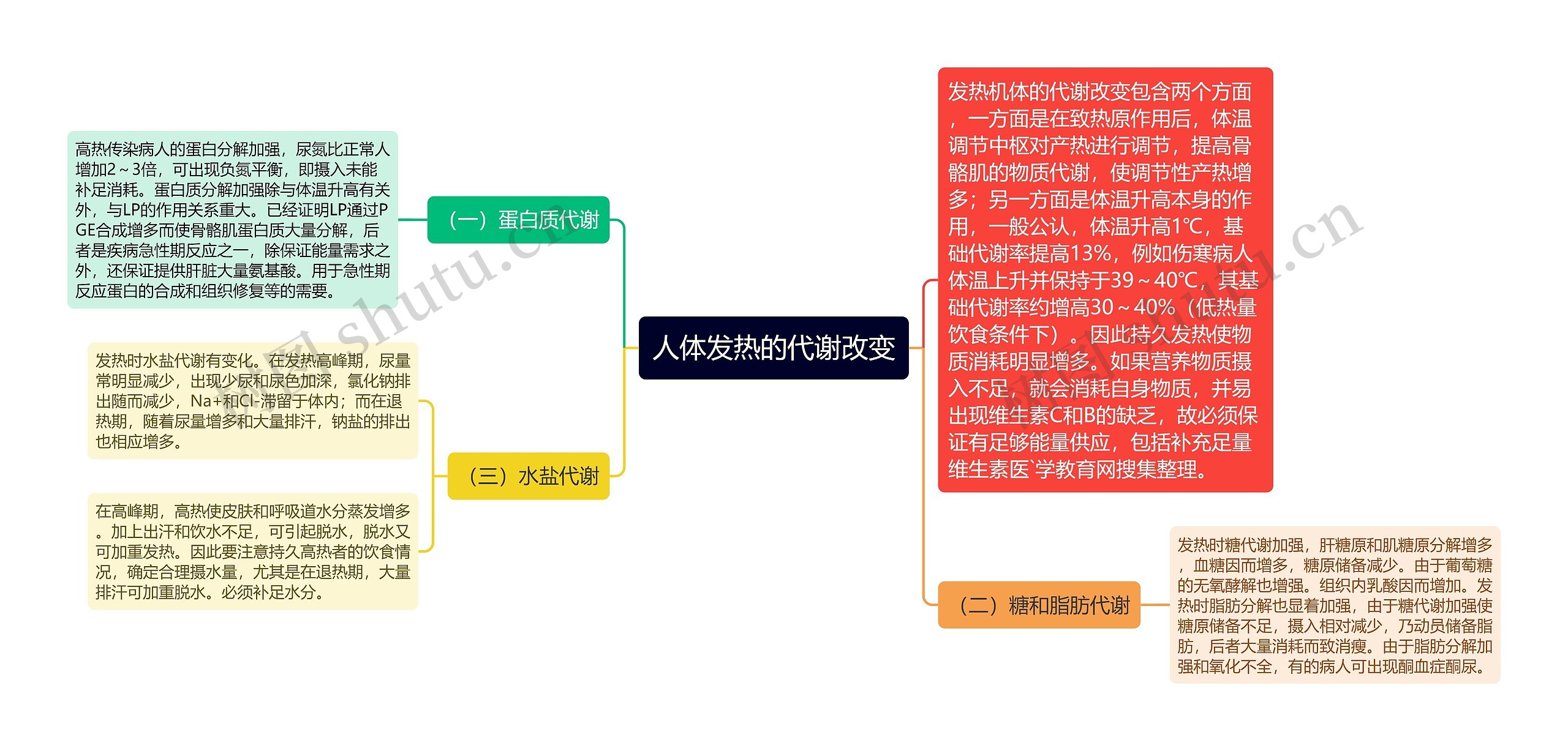 人体发热的代谢改变思维导图