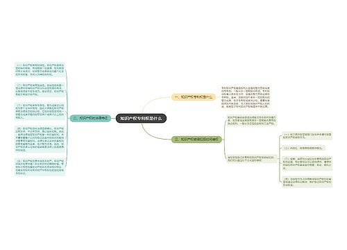 知识产权专利权是什么