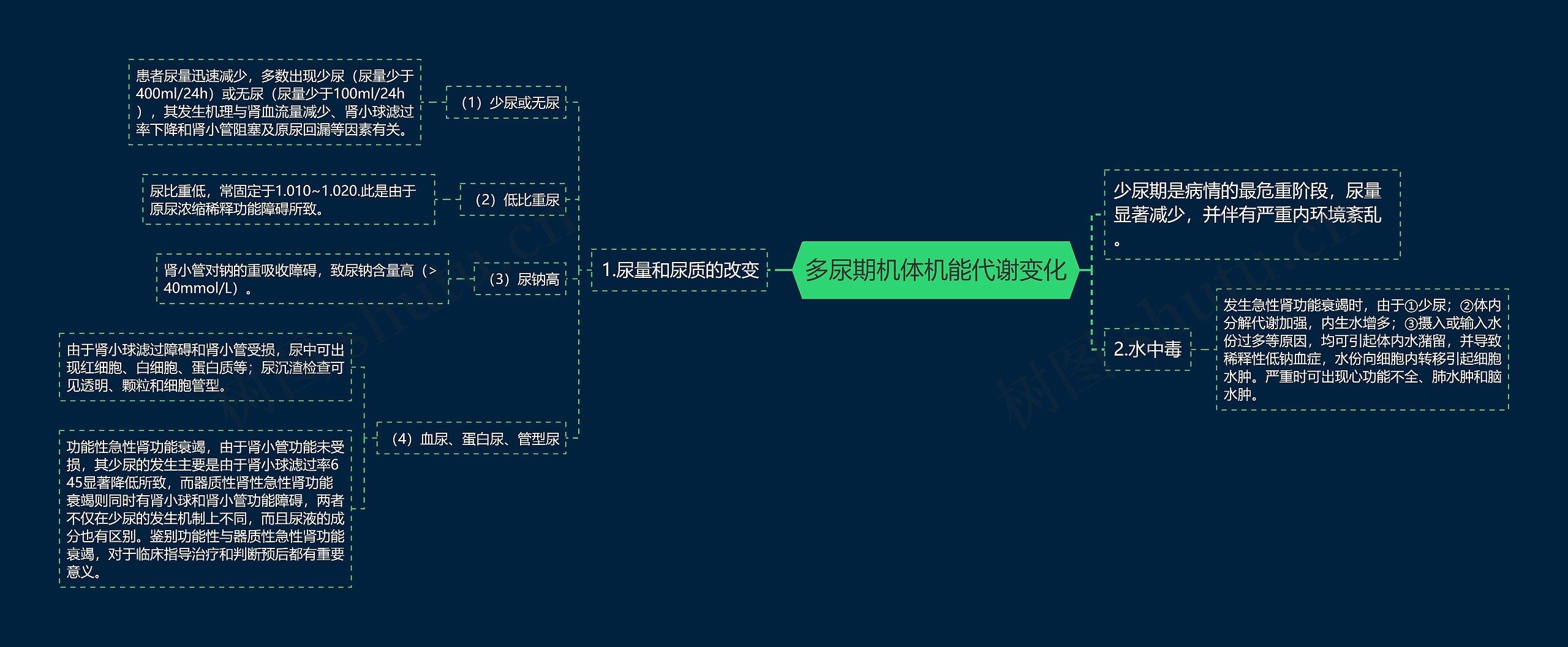 多尿期机体机能代谢变化思维导图