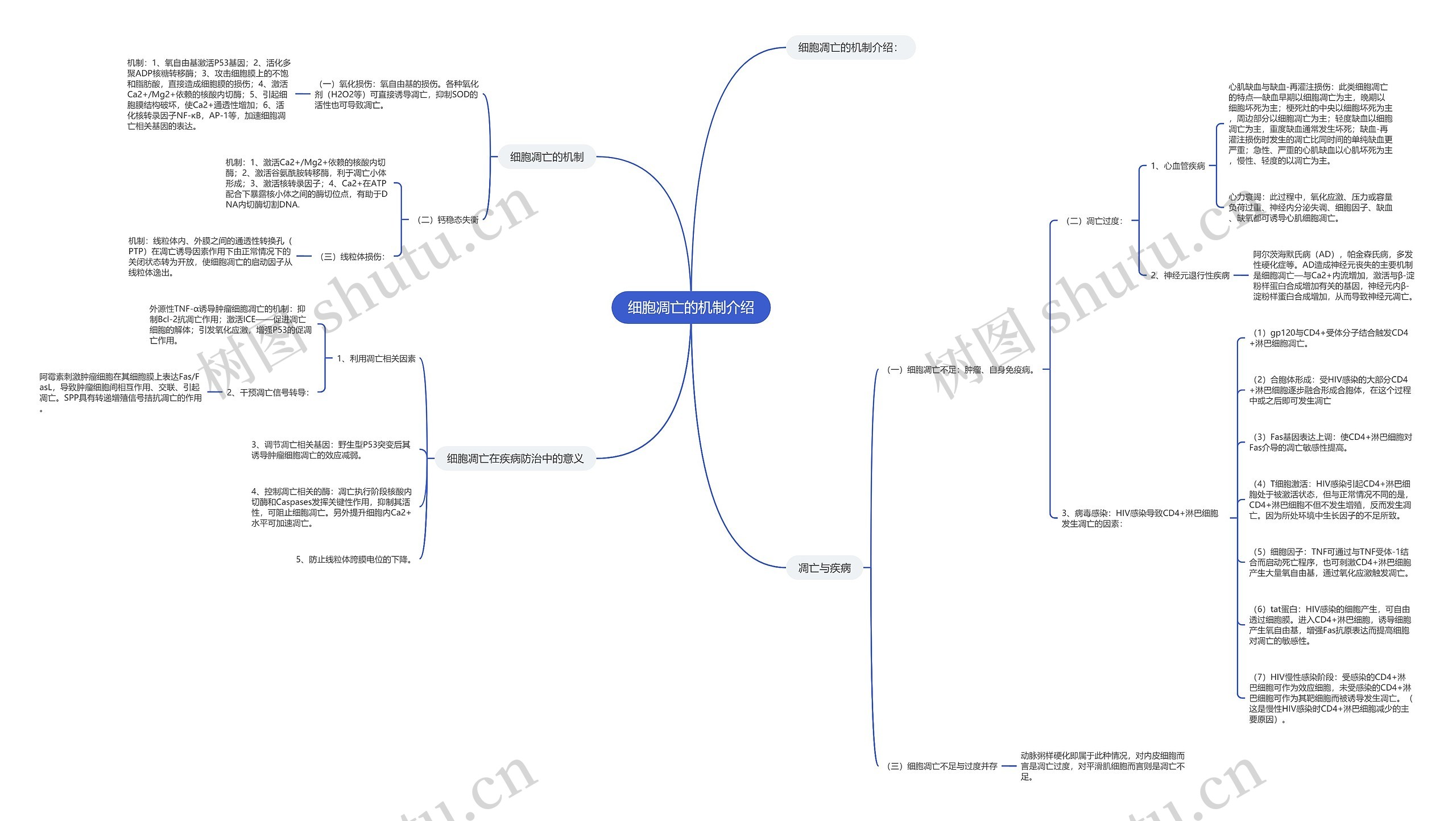 细胞凋亡的机制介绍思维导图