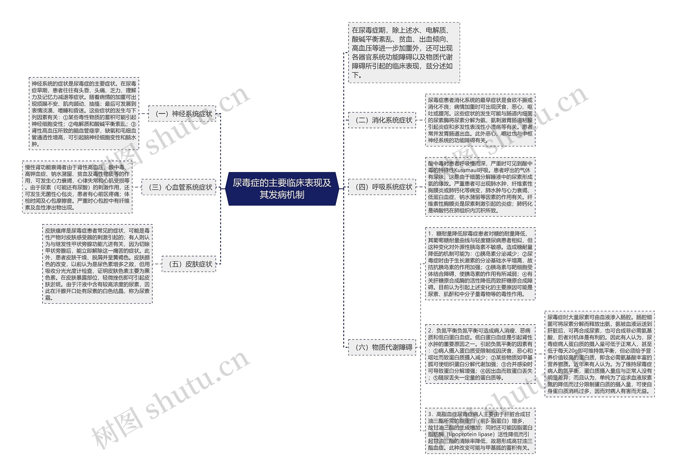 尿毒症的主要临床表现及其发病机制思维导图