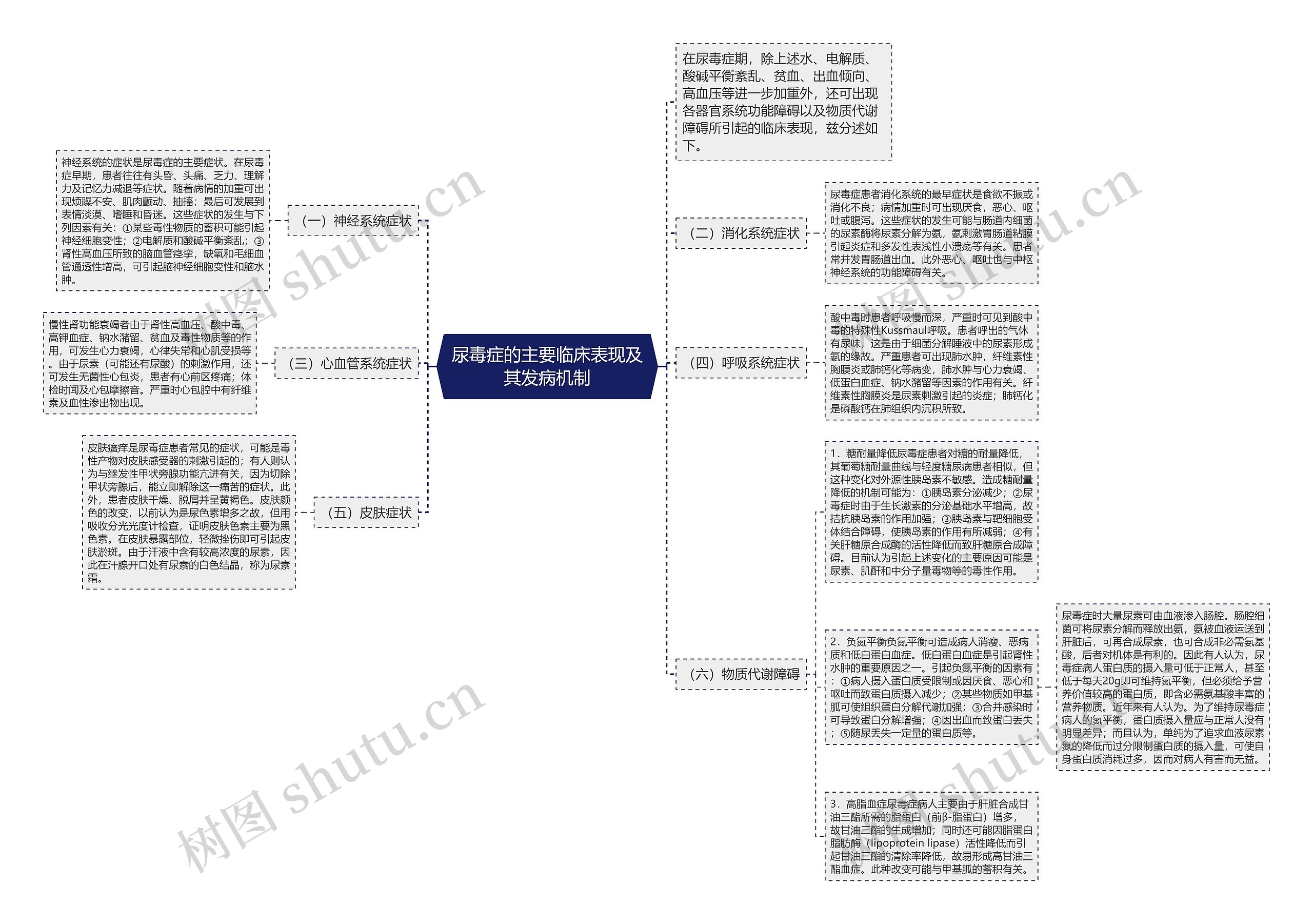 尿毒症的主要临床表现及其发病机制 尿毒症的主要临床表现及其发病机制