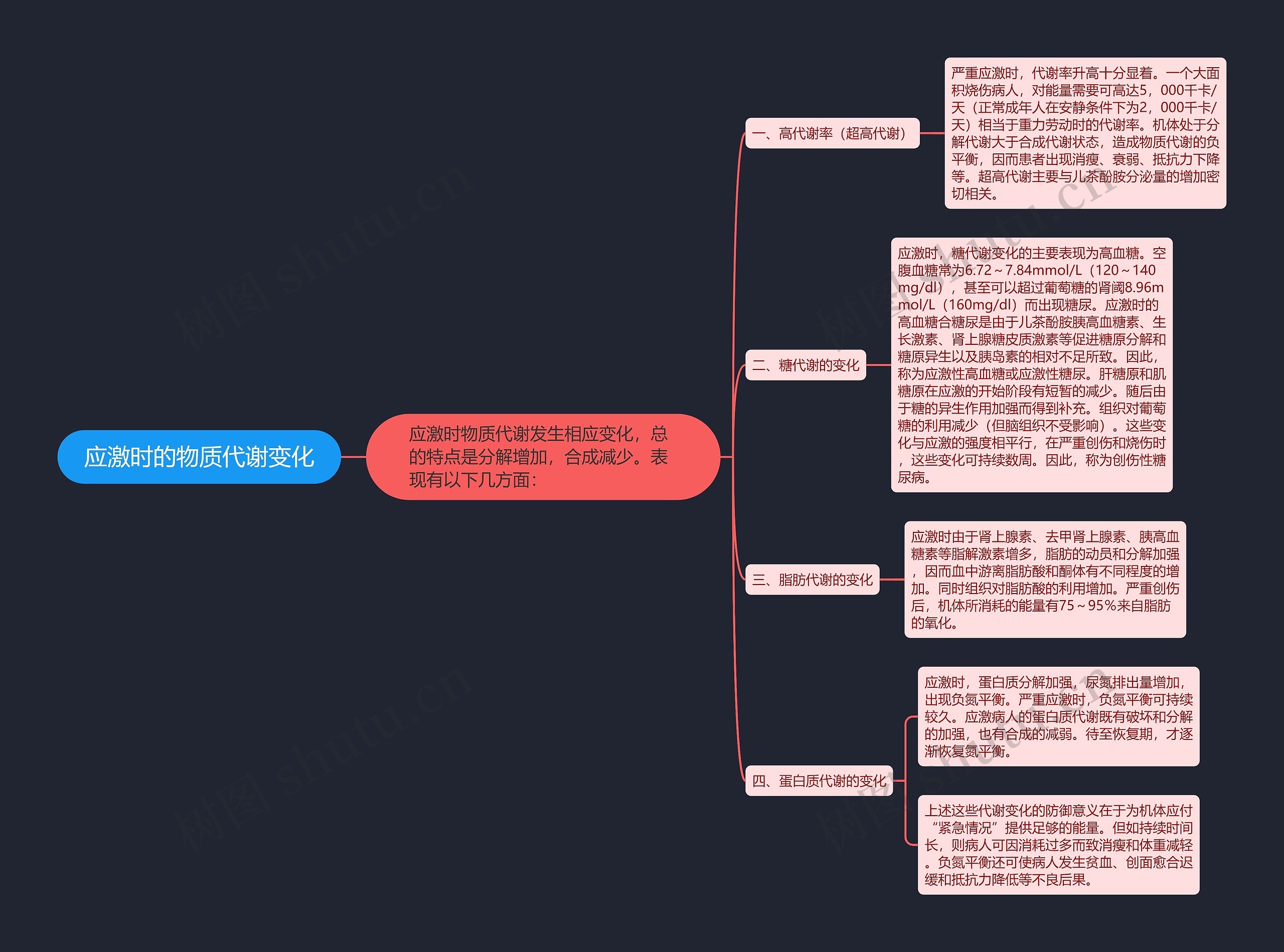 应激时的物质代谢变化思维导图