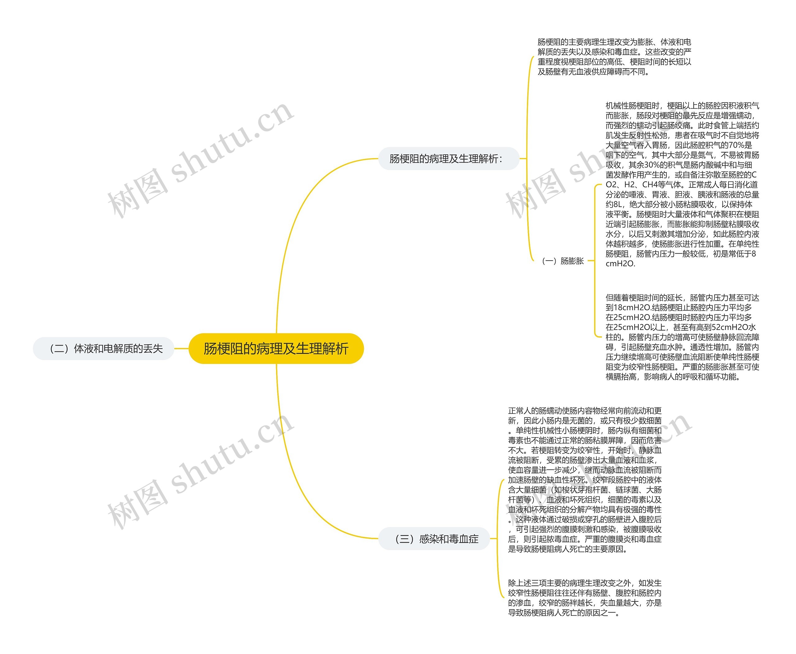 肠梗阻的病理及生理解析思维导图