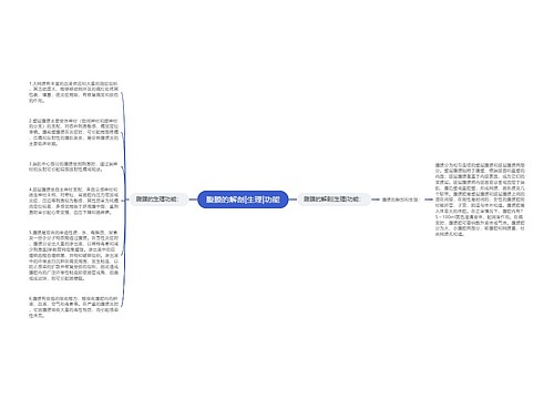 腹膜的解剖|生理|功能