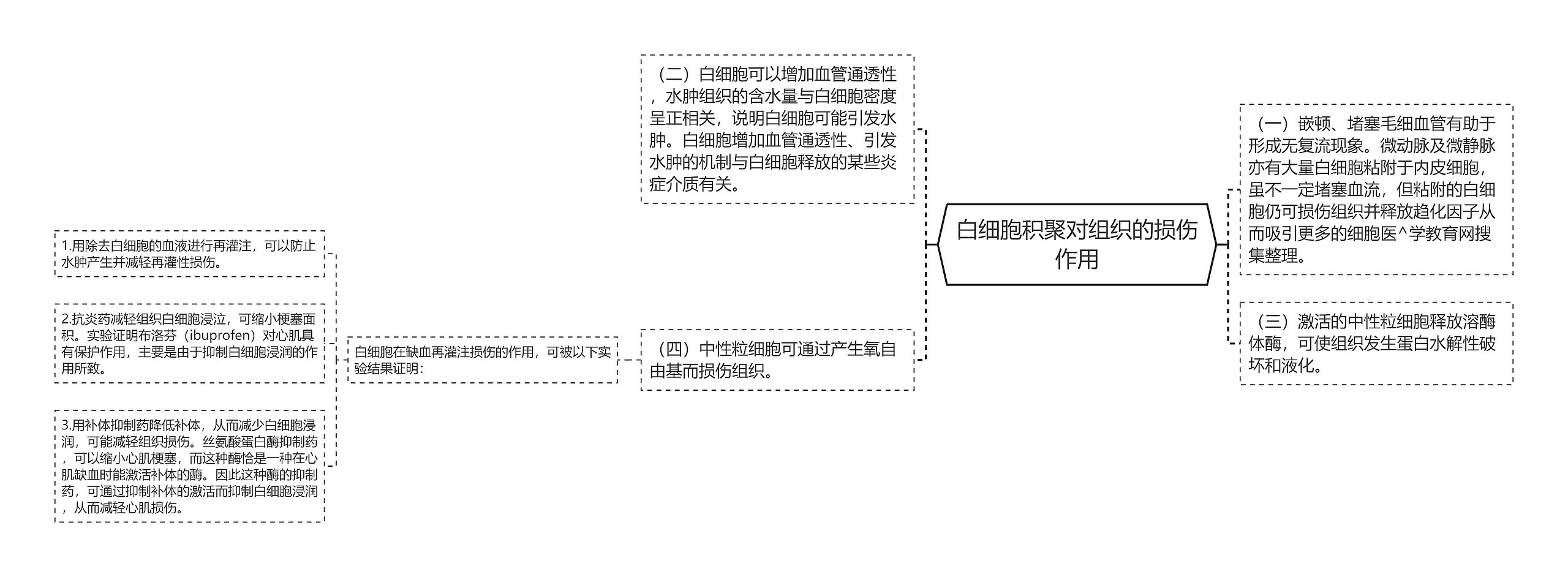 白细胞积聚对组织的损伤作用 白细胞积聚对组织的损伤作用