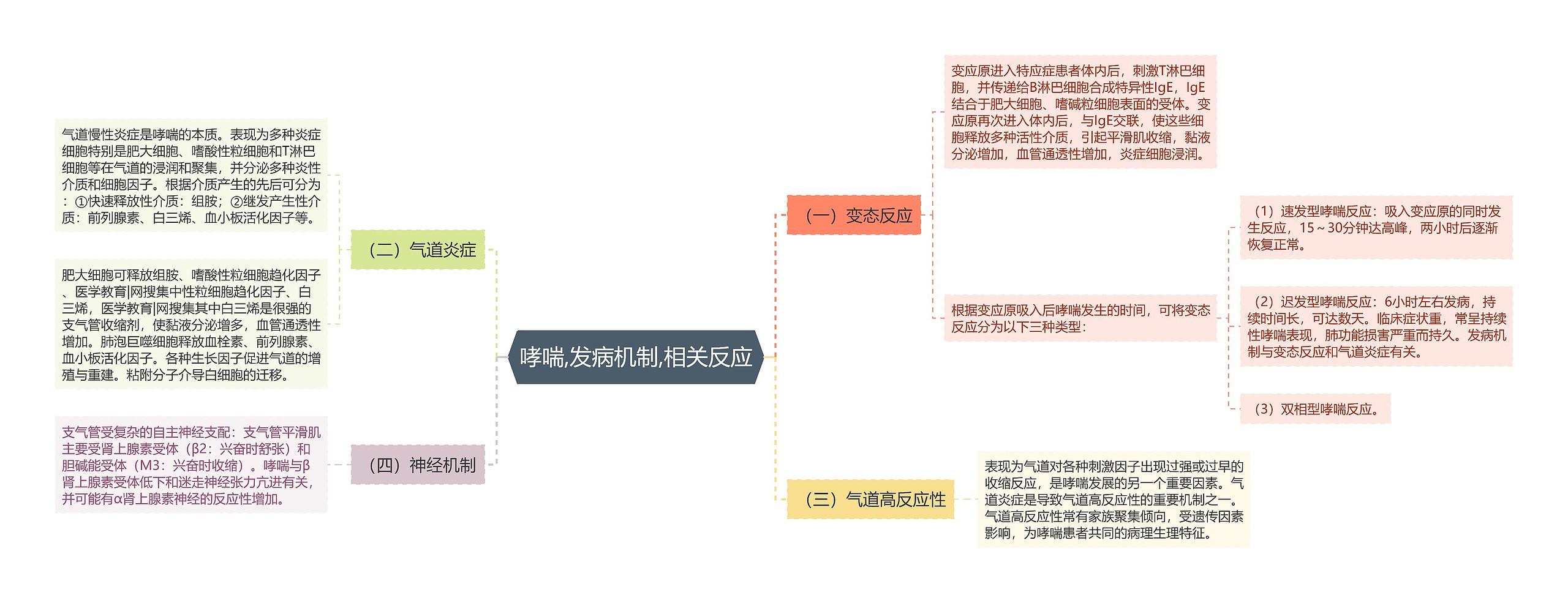 哮喘,发病机制,相关反应思维导图