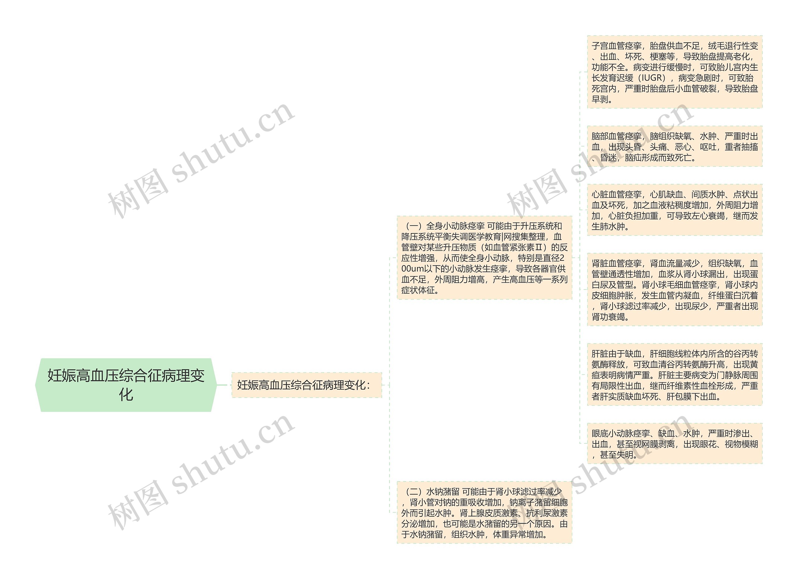 妊娠高血压综合征病理变化