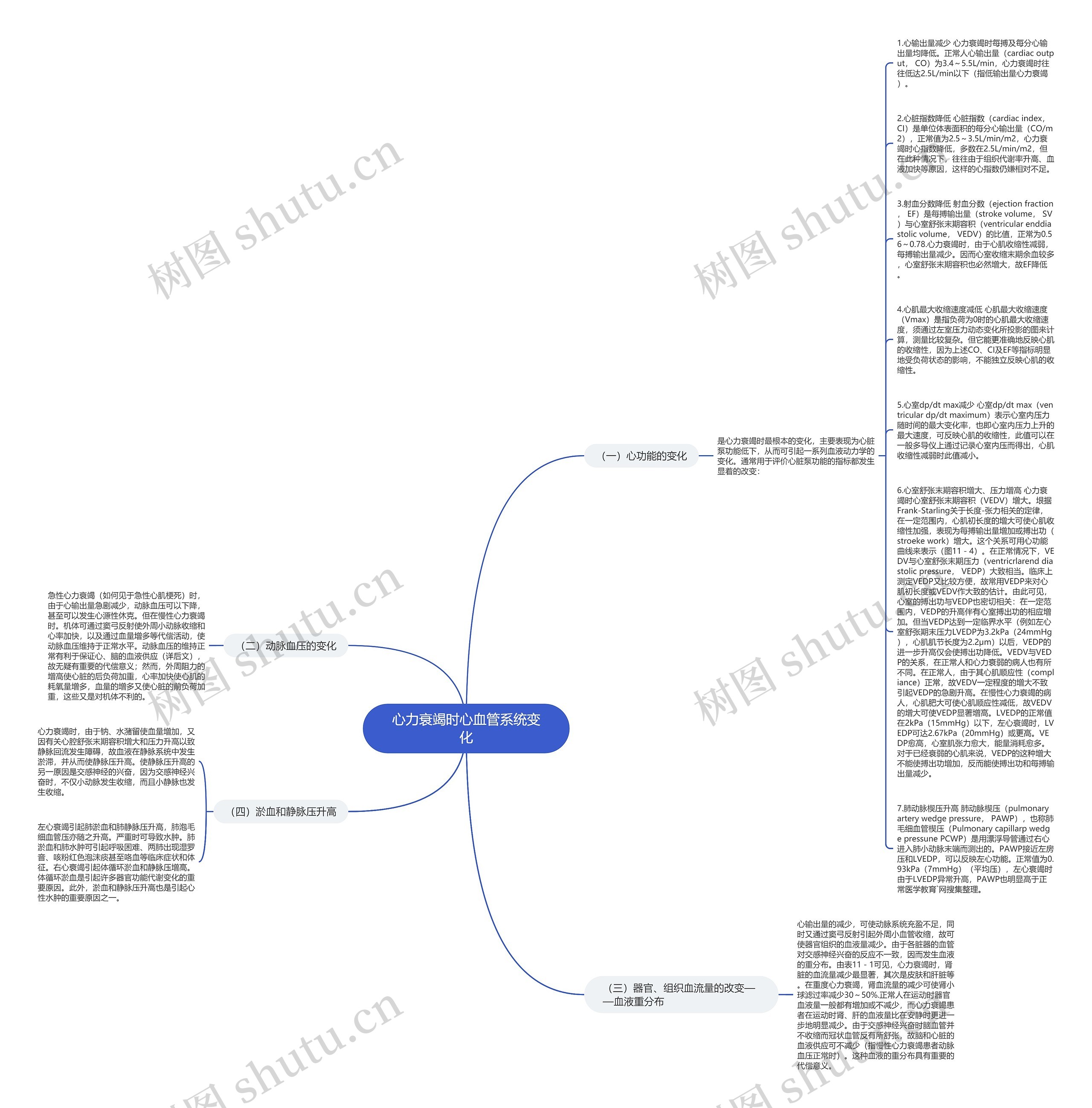 心力衰竭时心血管系统变化思维导图