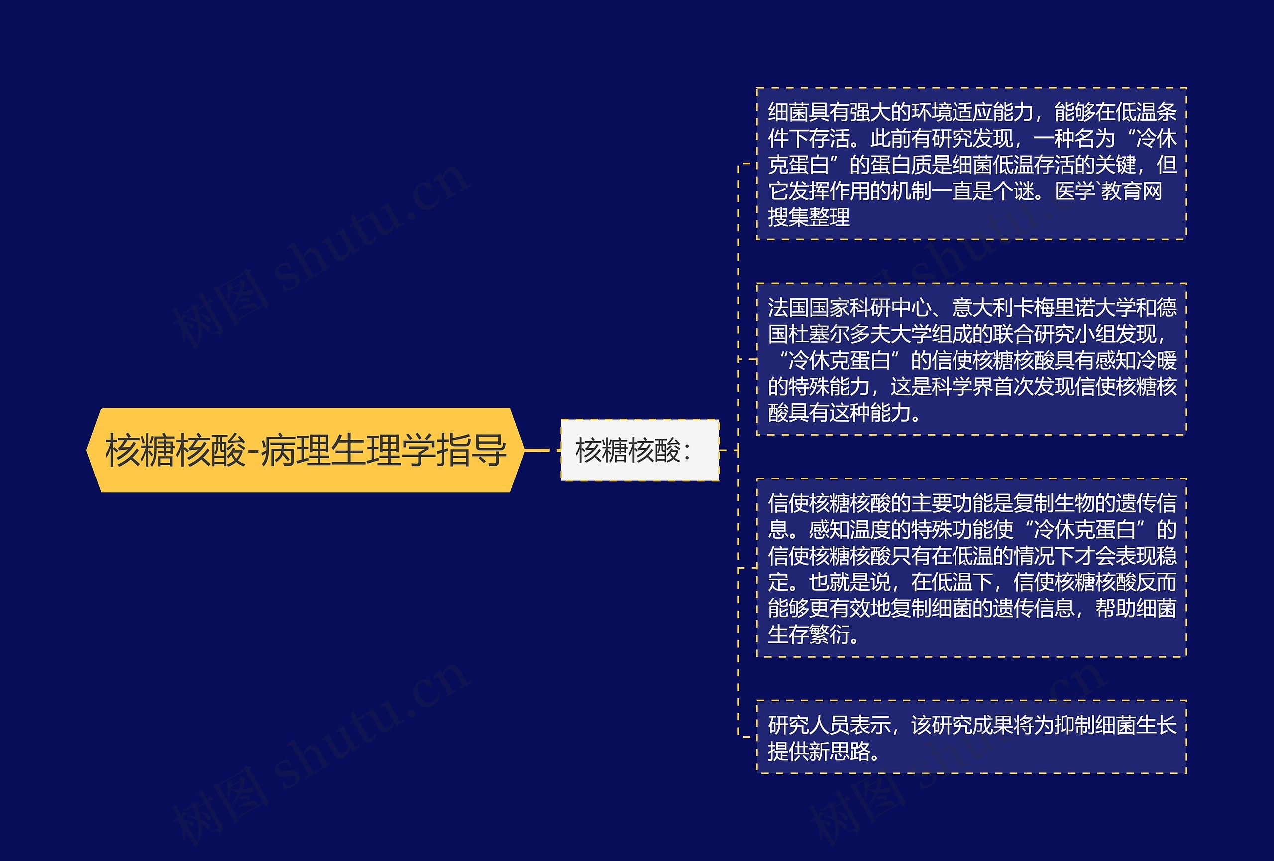 核糖核酸-病理生理学指导