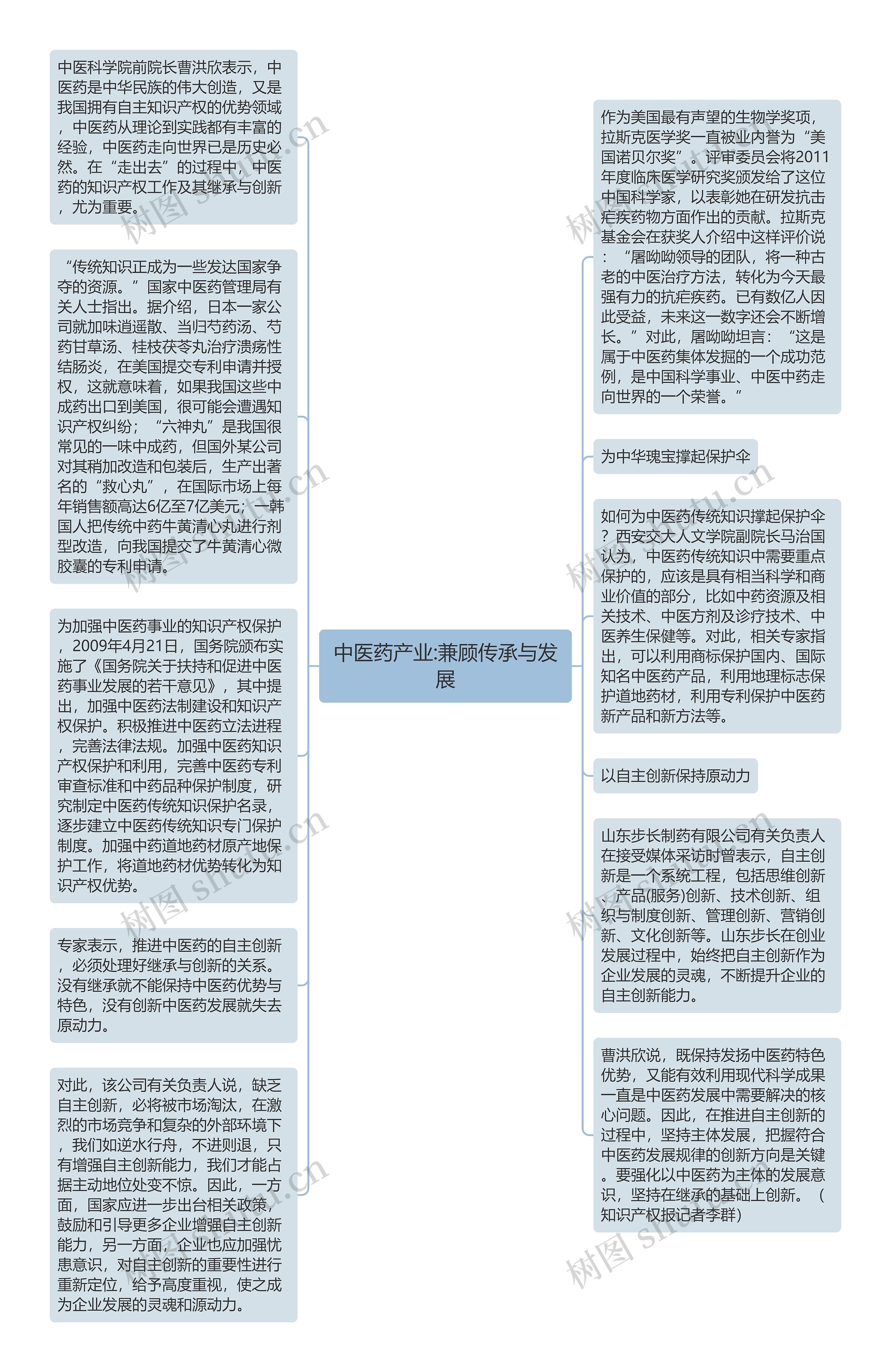 中医药产业:兼顾传承与发展思维导图