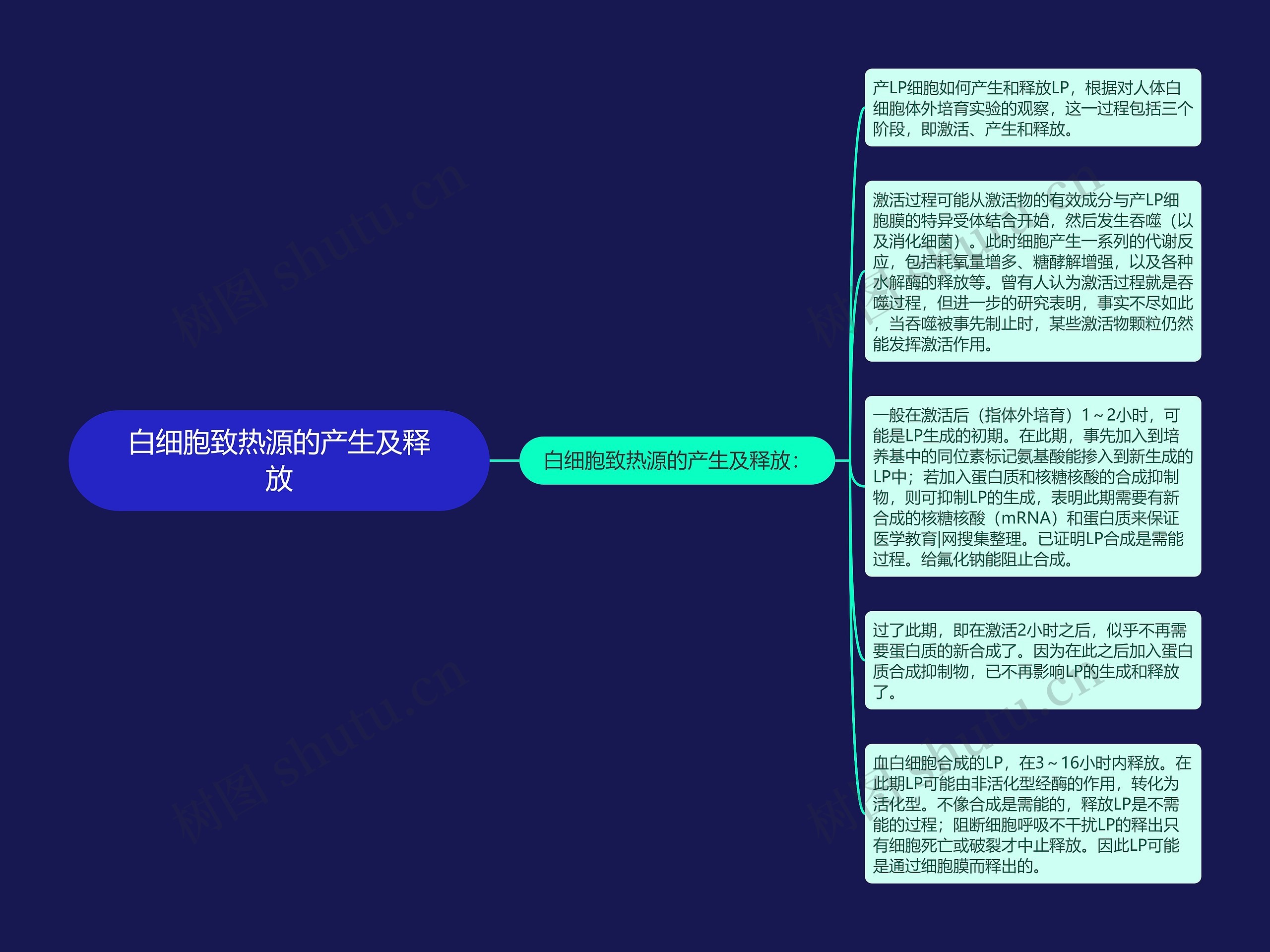 白细胞致热源的产生及释放思维导图