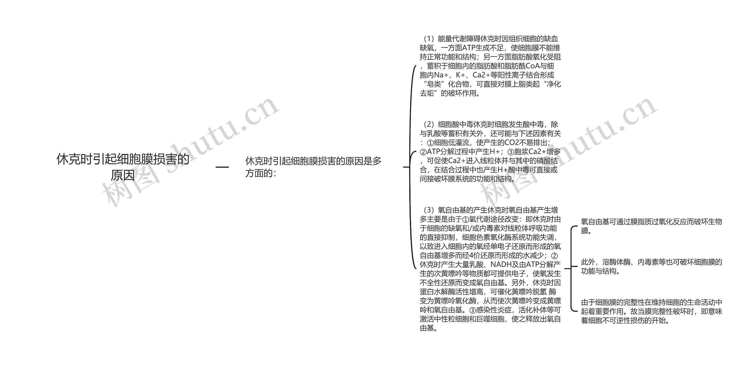 休克时引起细胞膜损害的原因思维导图