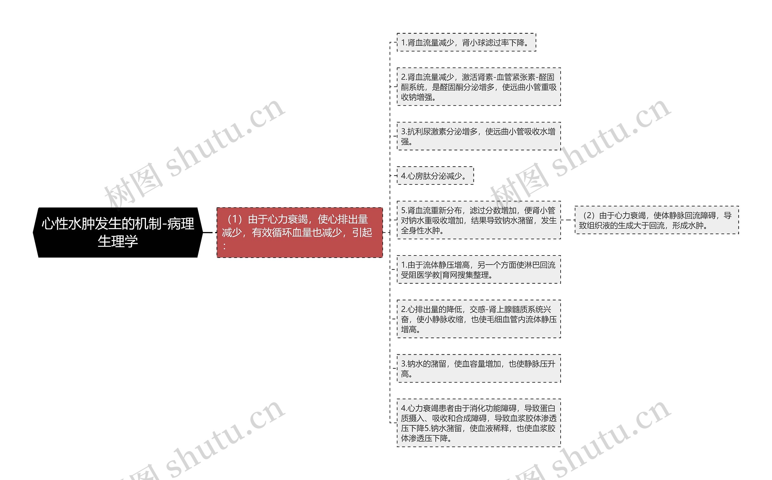 心性水肿发生的机制-病理生理学思维导图