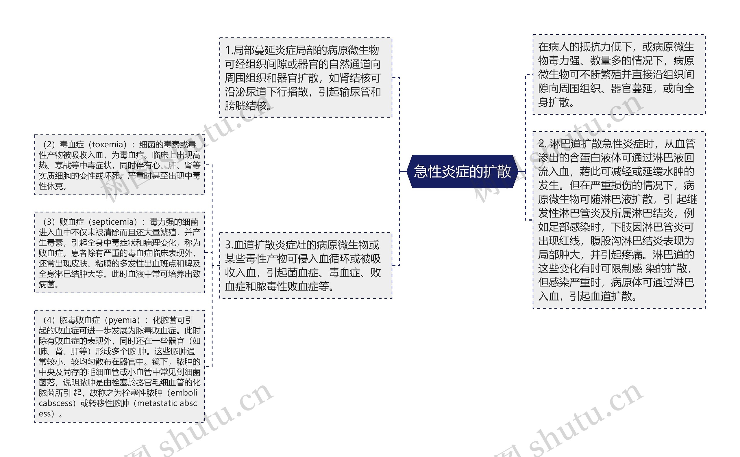 急性炎症的扩散思维导图