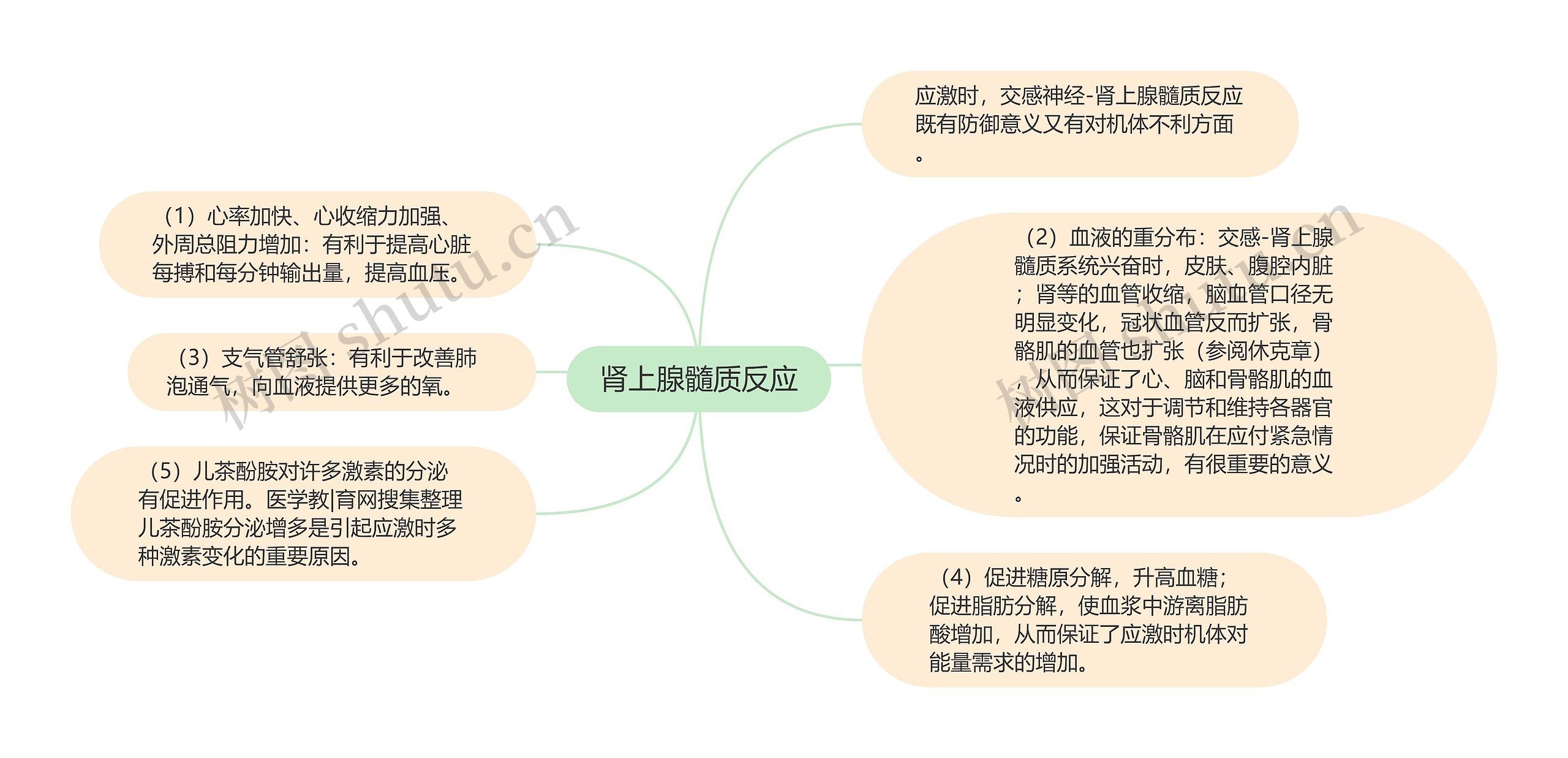 肾上腺髓质反应思维导图