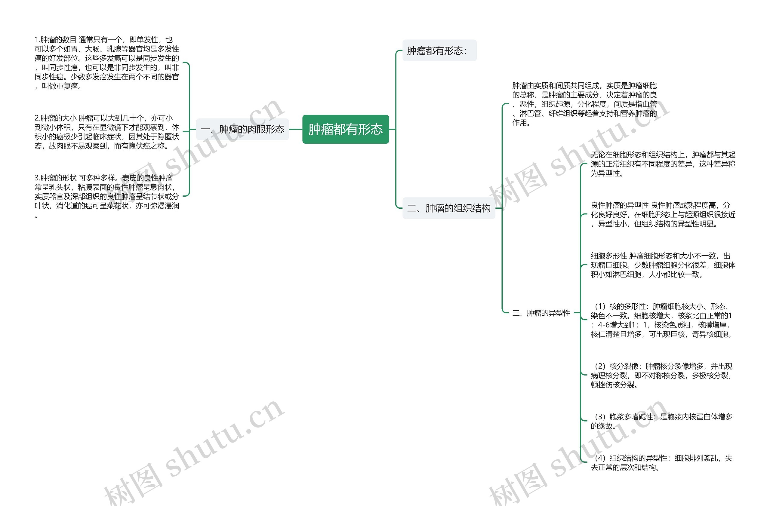 肿瘤都有形态 肿瘤都有形态