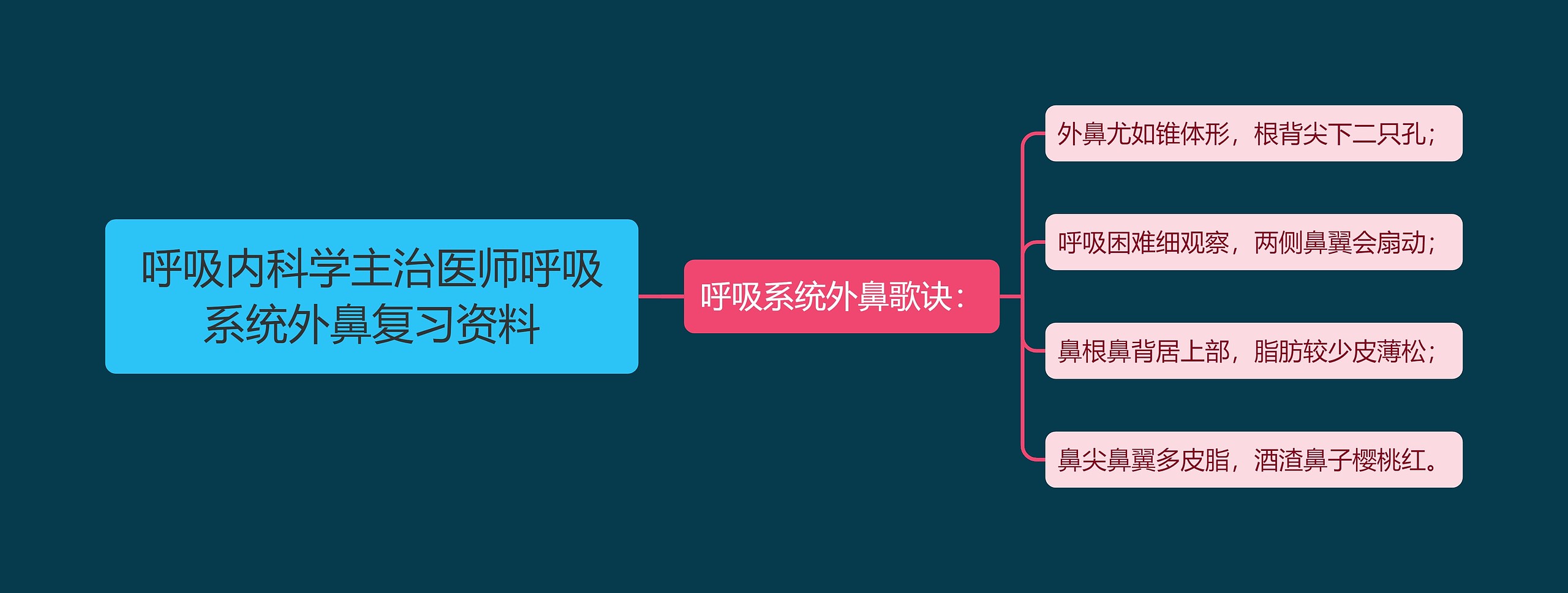 呼吸内科学主治医师呼吸系统外鼻复习资料思维导图