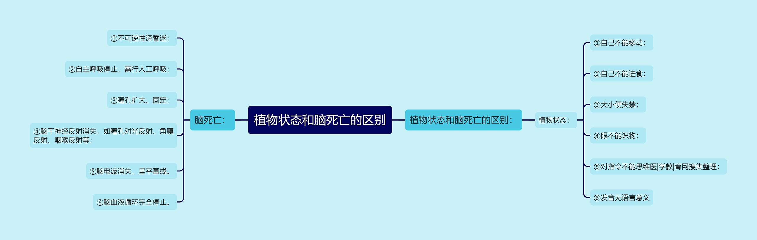 植物状态和脑死亡的区别