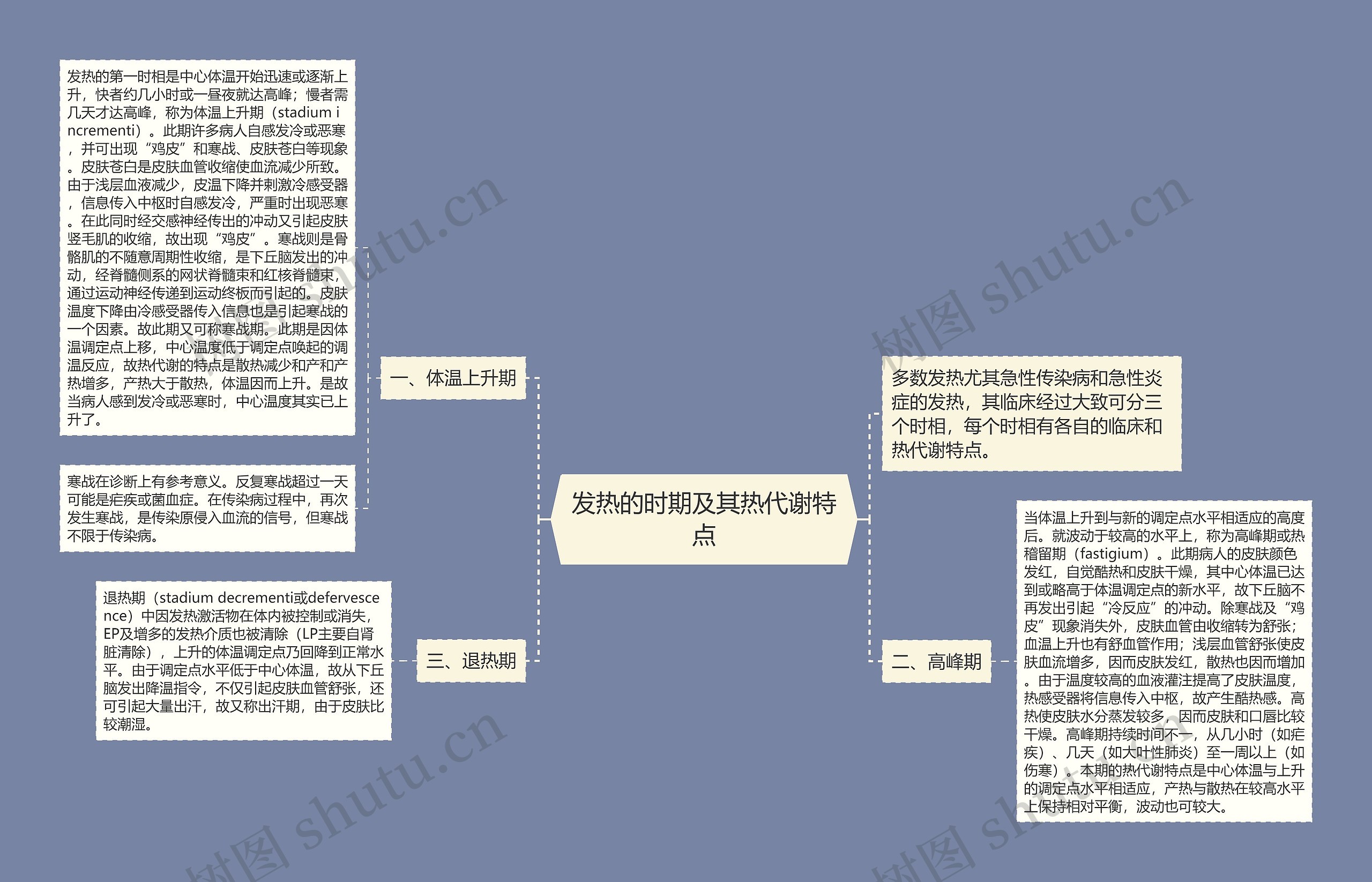 发热的时期及其热代谢特点思维导图