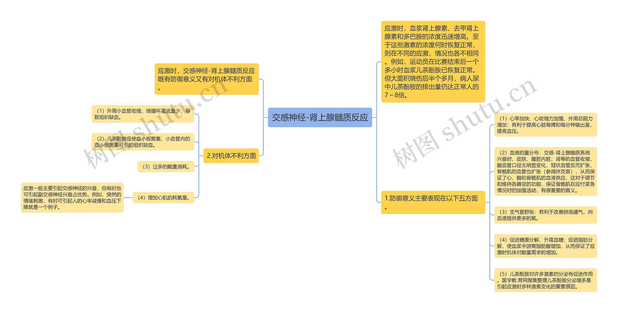 交感神经-肾上腺髓质反应思维导图