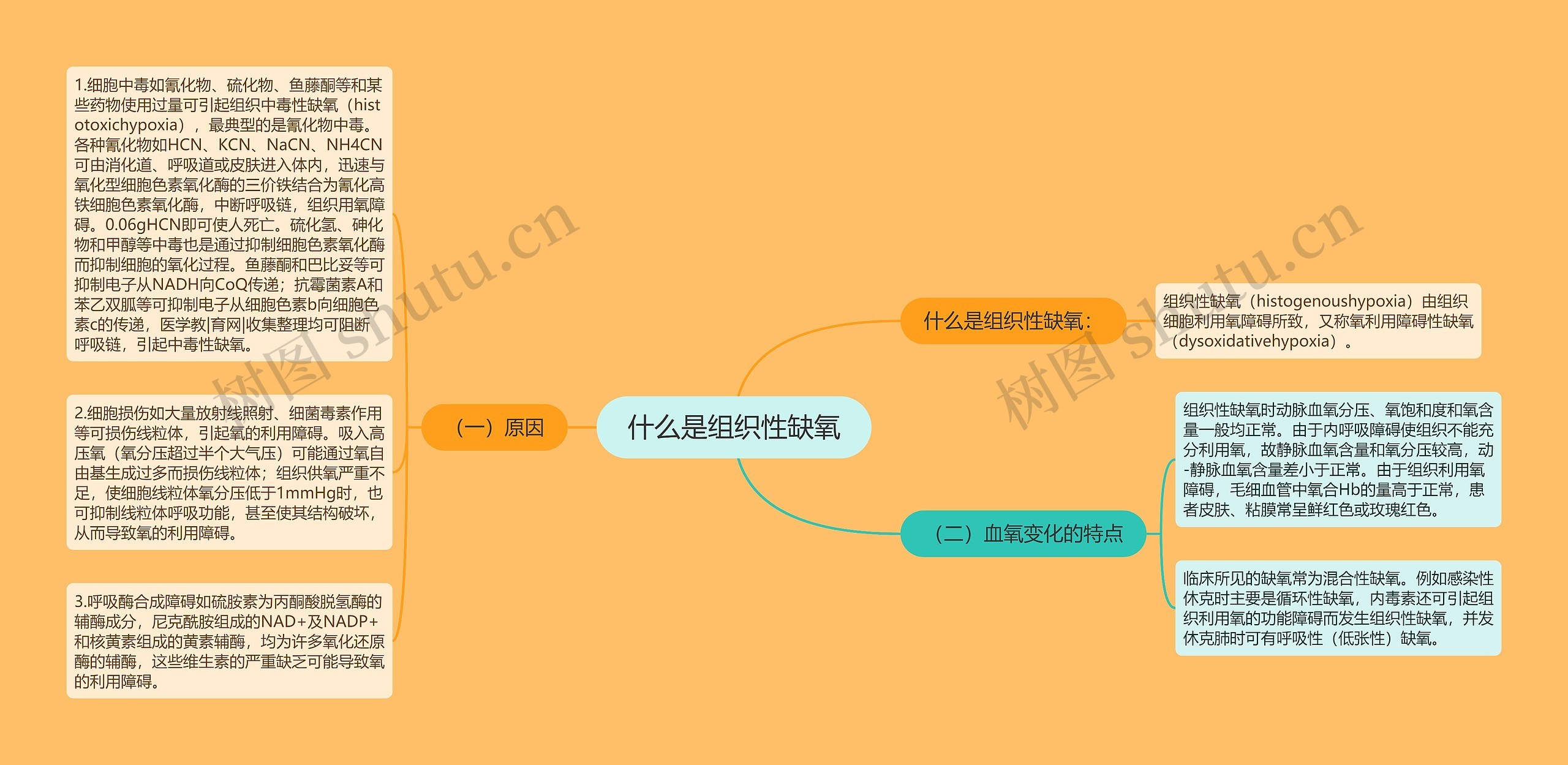 什么是组织性缺氧思维导图