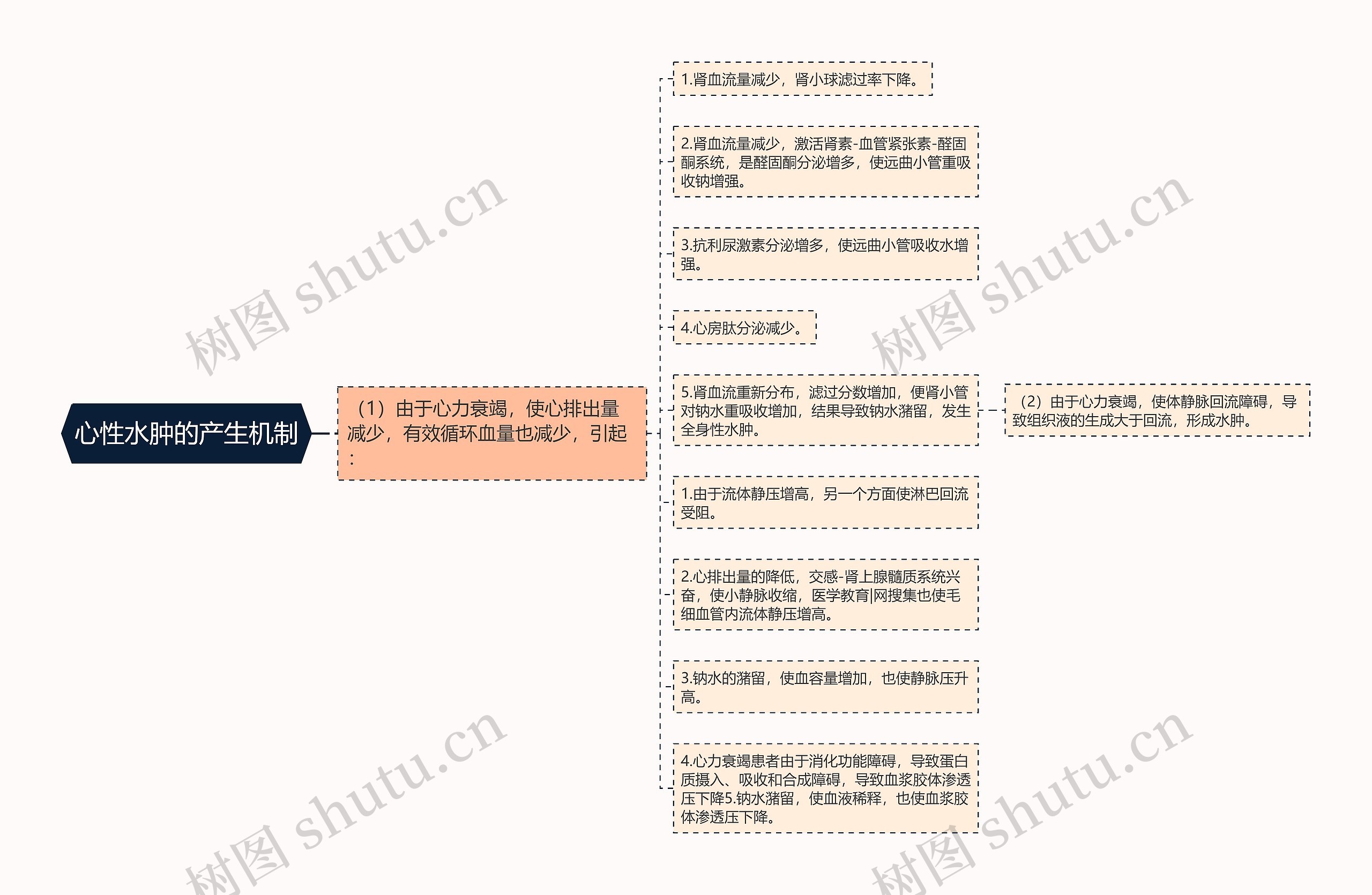 心性水肿的产生机制思维导图