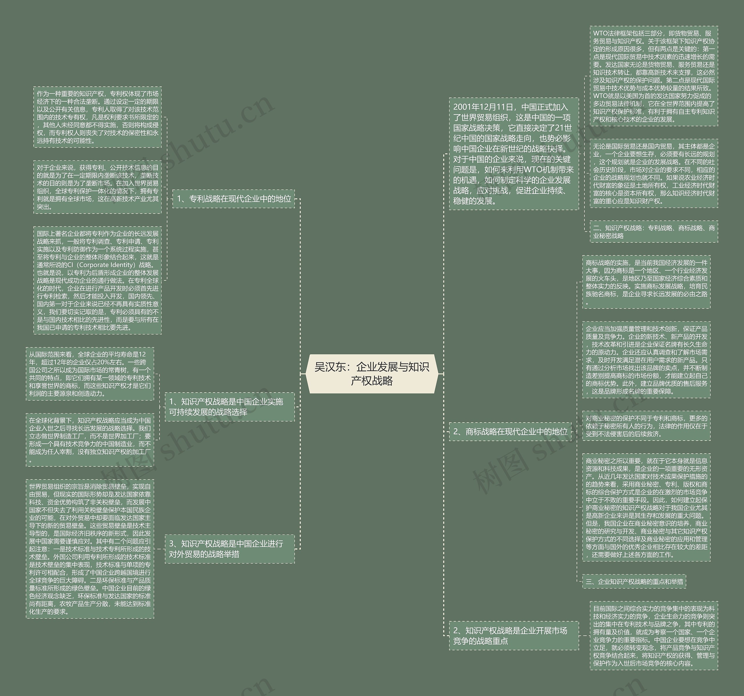 吴汉东：企业发展与知识产权战略思维导图