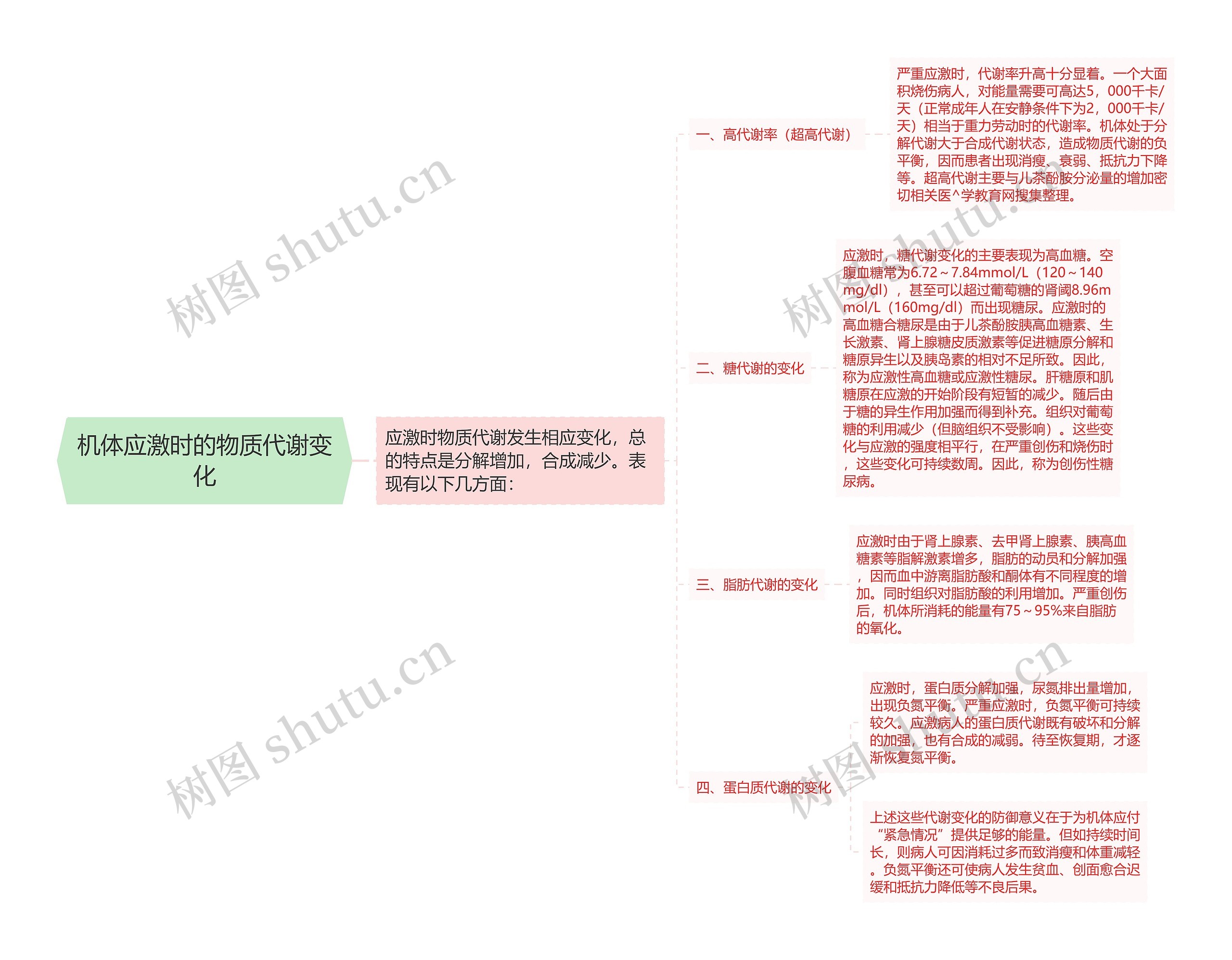 机体应激时的物质代谢变化思维导图