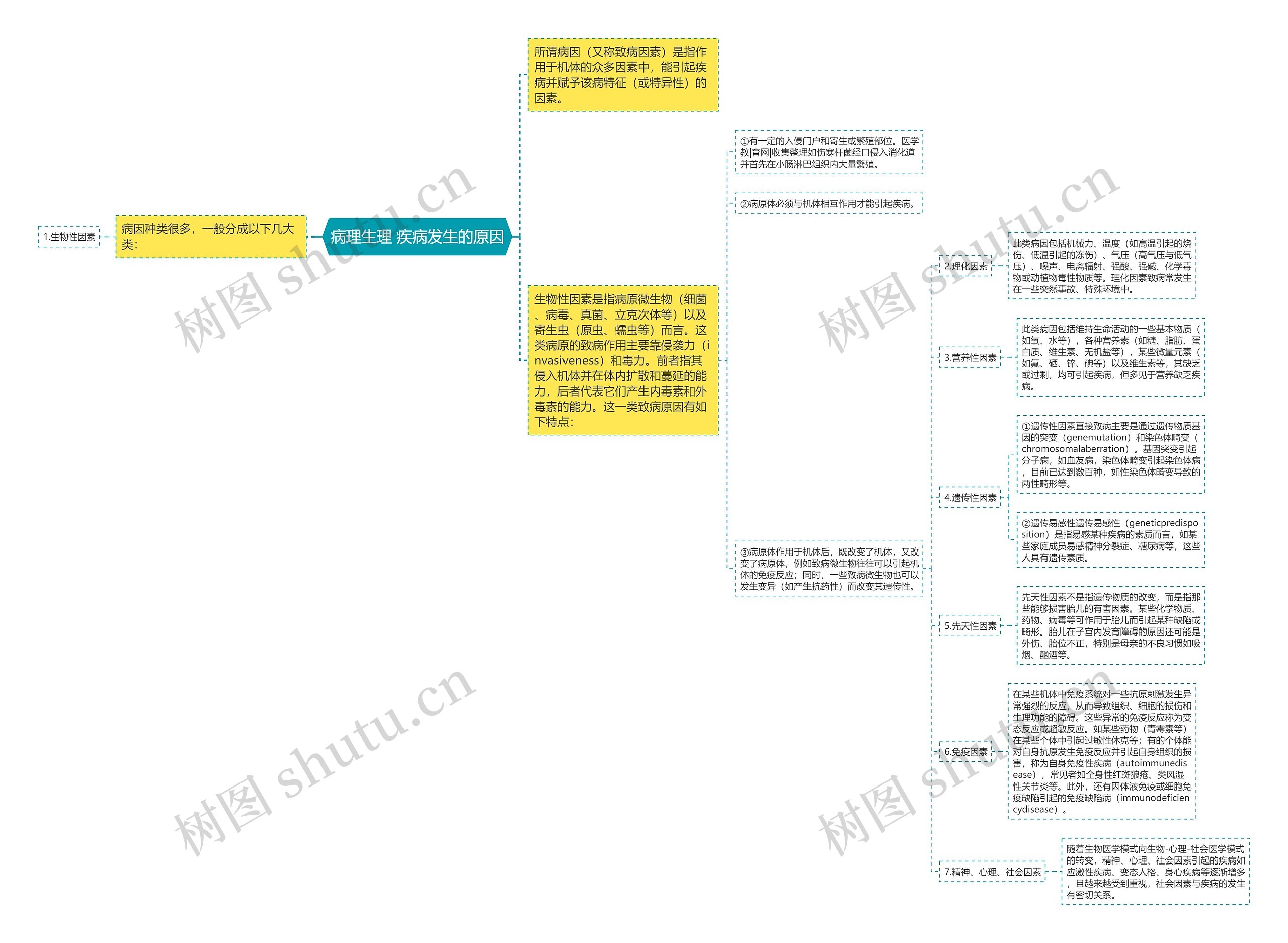 病理生理 疾病发生的原因思维导图